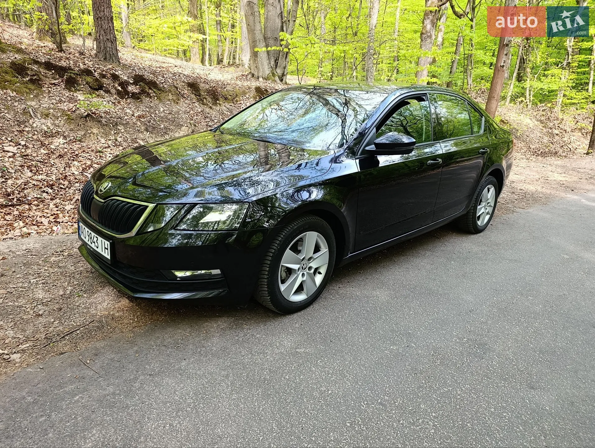2019 Skoda Octavia - мініатюра 3