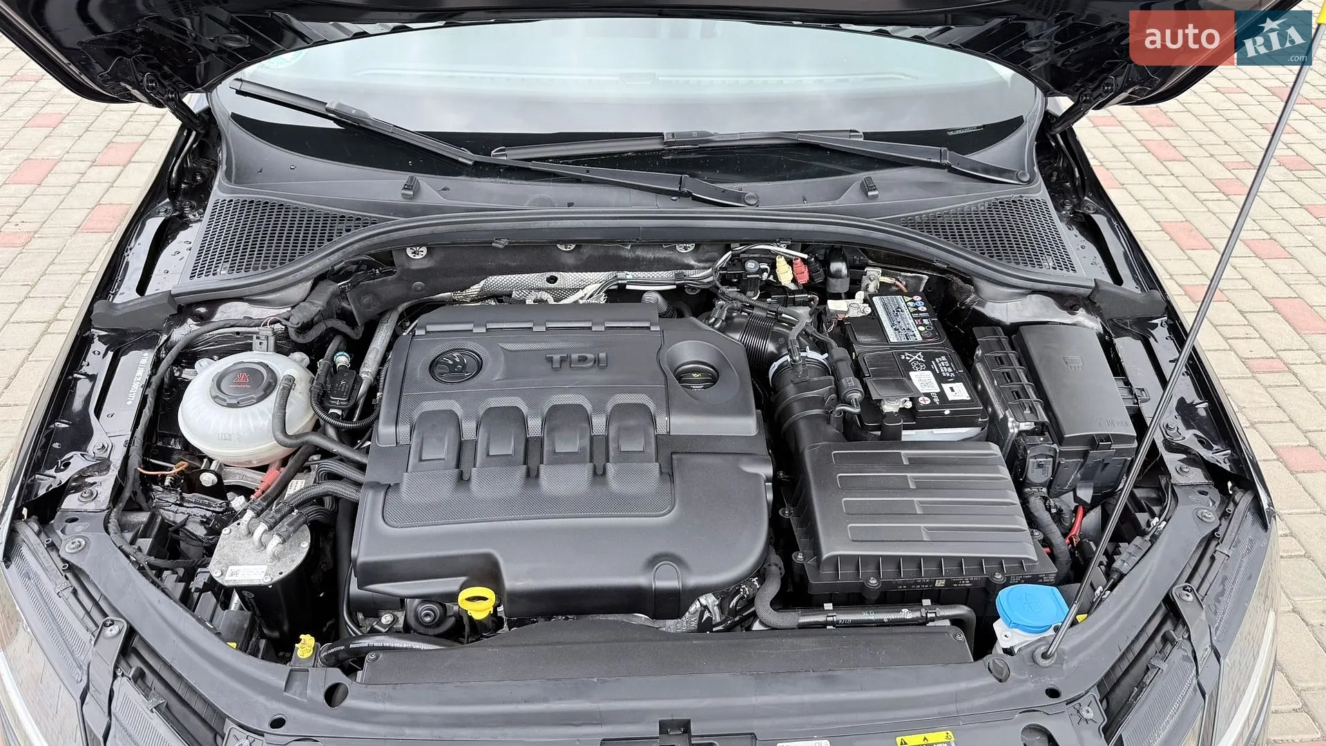 2019 Skoda Octavia - мініатюра 47