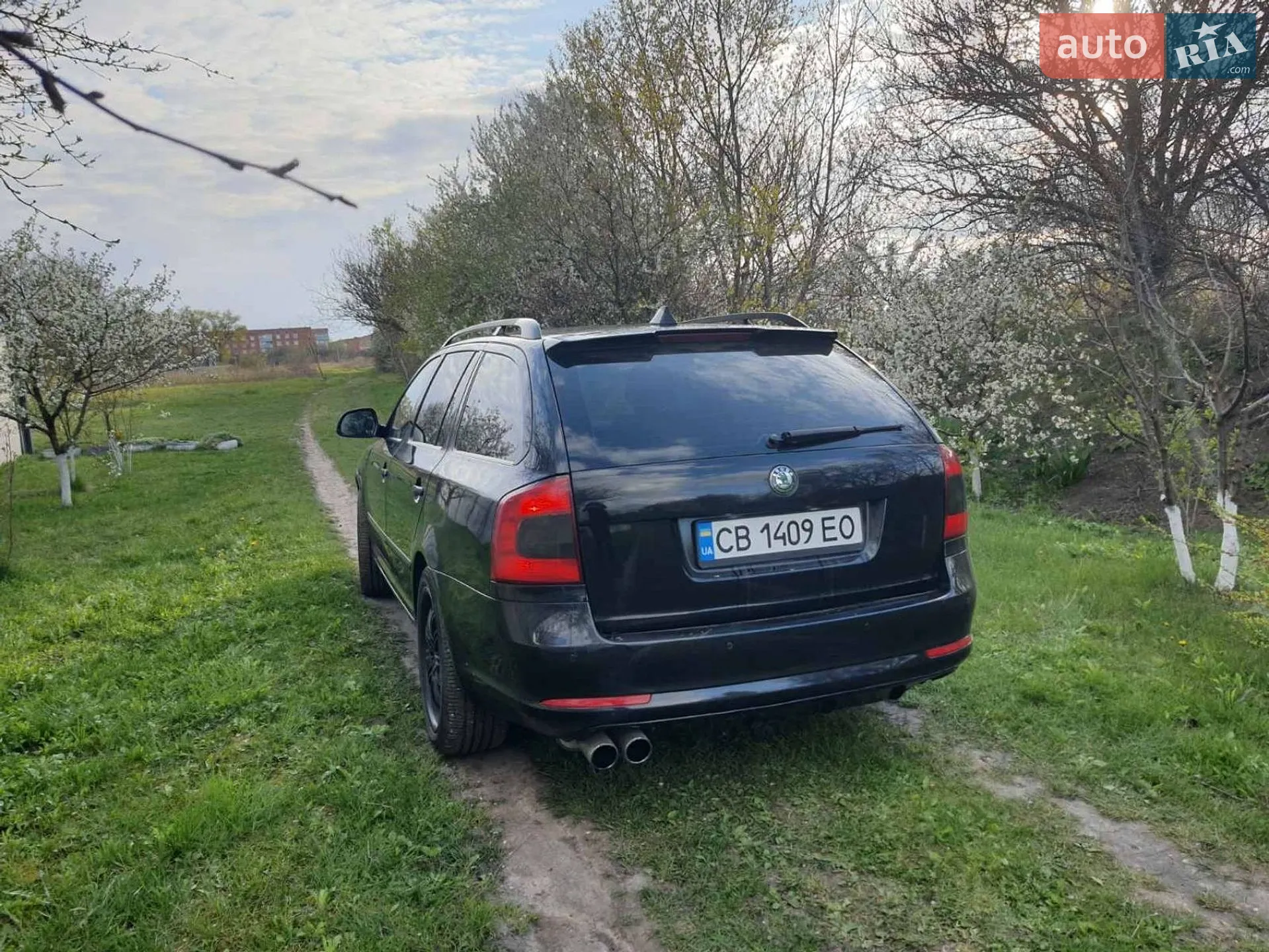 2011 Skoda Octavia - мініатюра 10