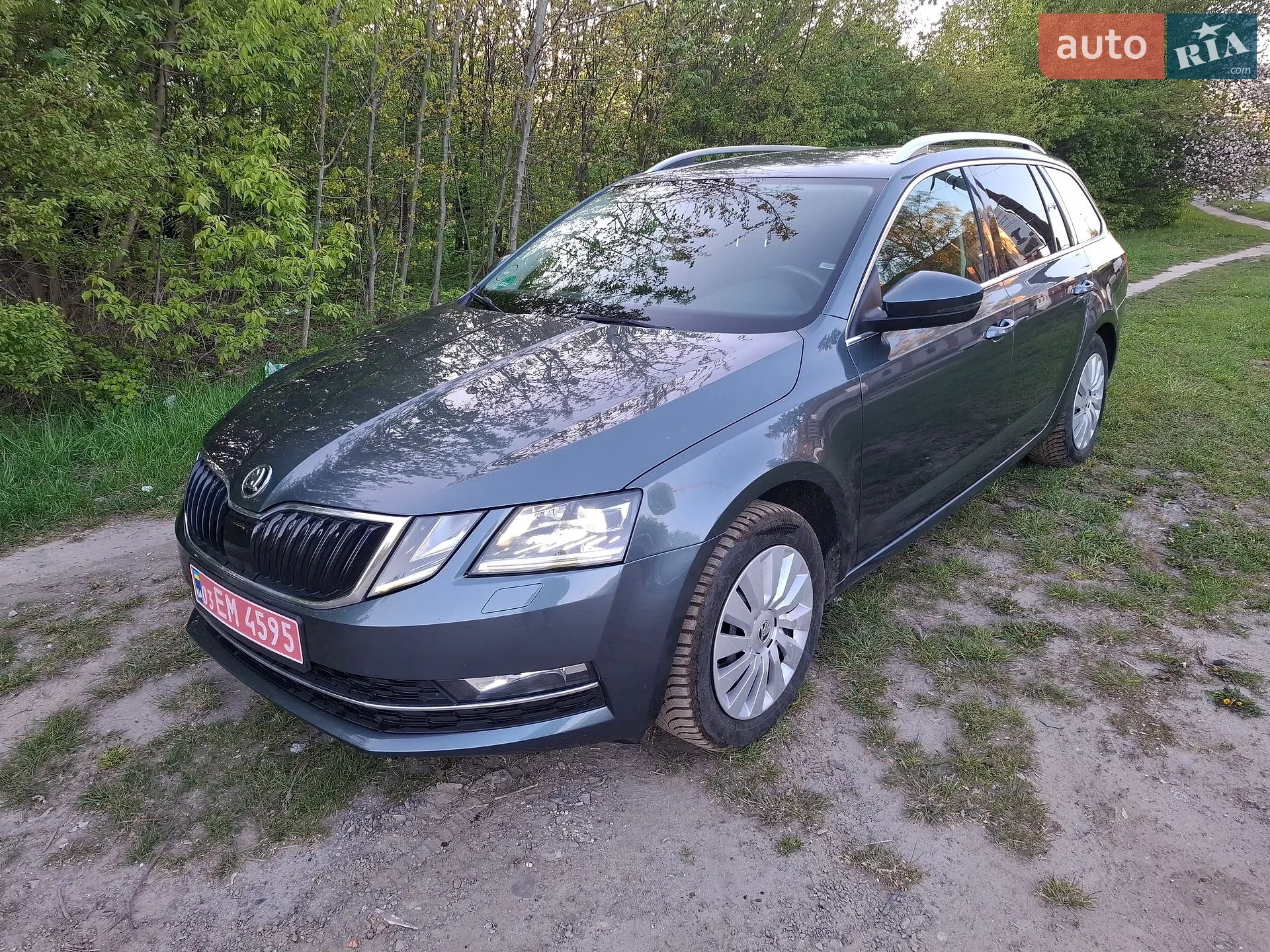 2019 Skoda Octavia - мініатюра 6