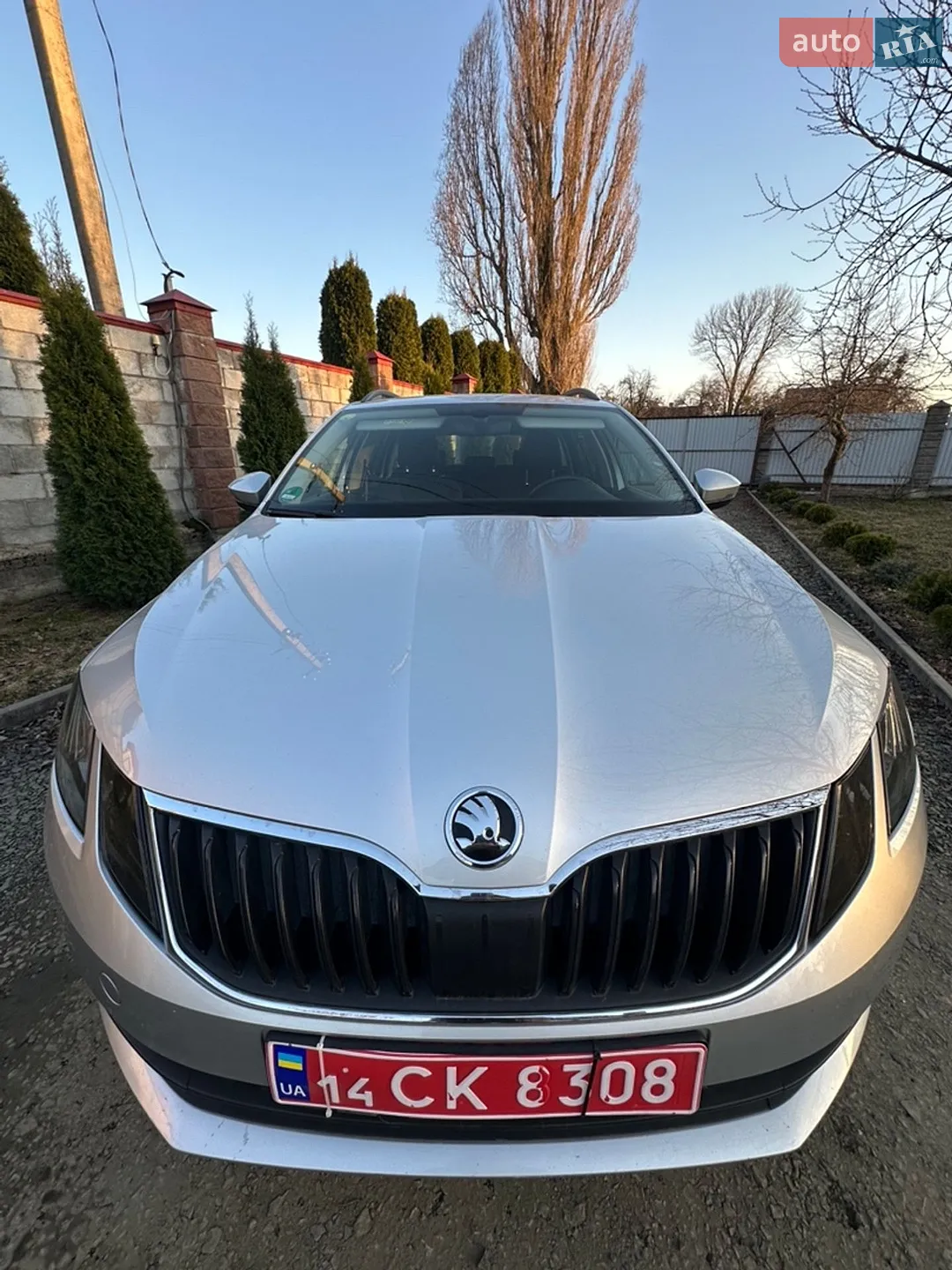 2019 Skoda Octavia - мініатюра 30