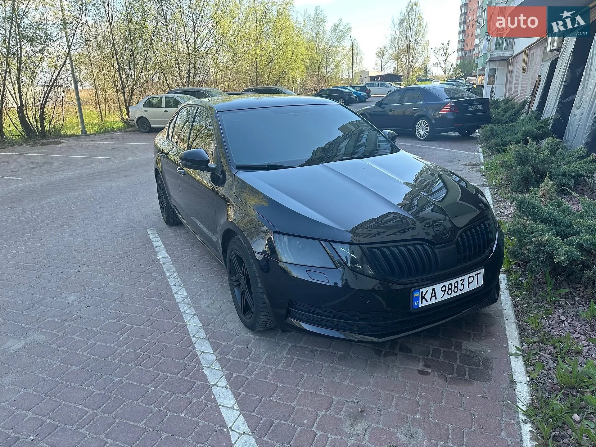 2017 Skoda Octavia - мініатюра 2