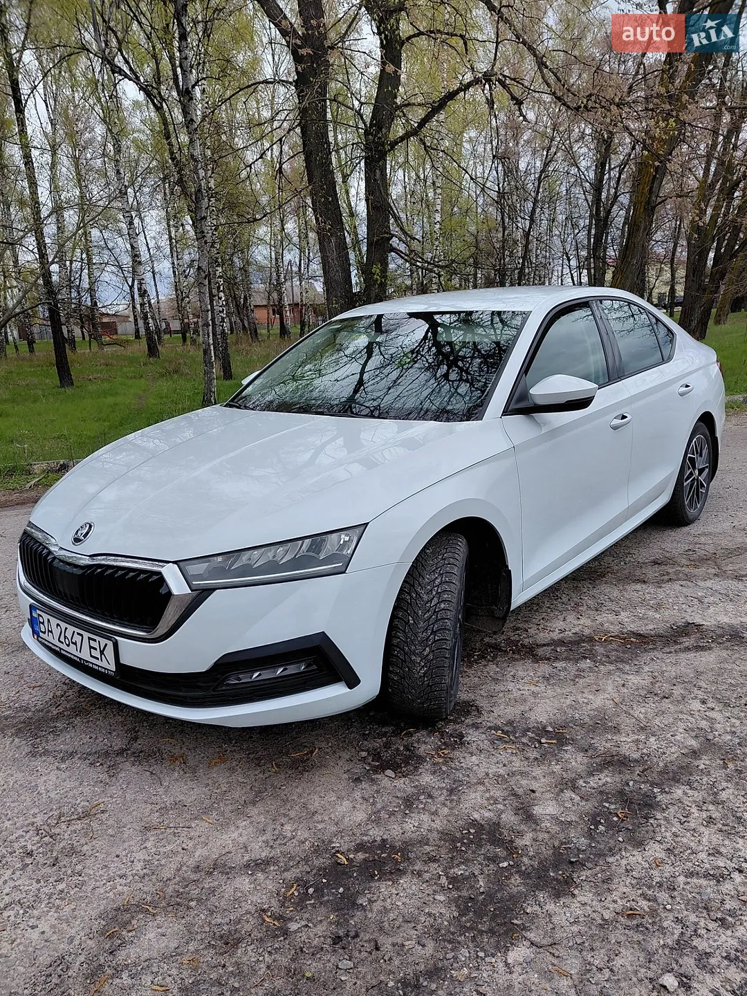 2020 Skoda Octavia - мініатюра 5
