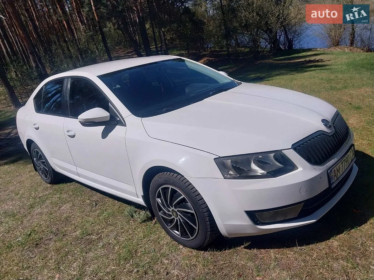 2015 Skoda Octavia - мініатюра 14