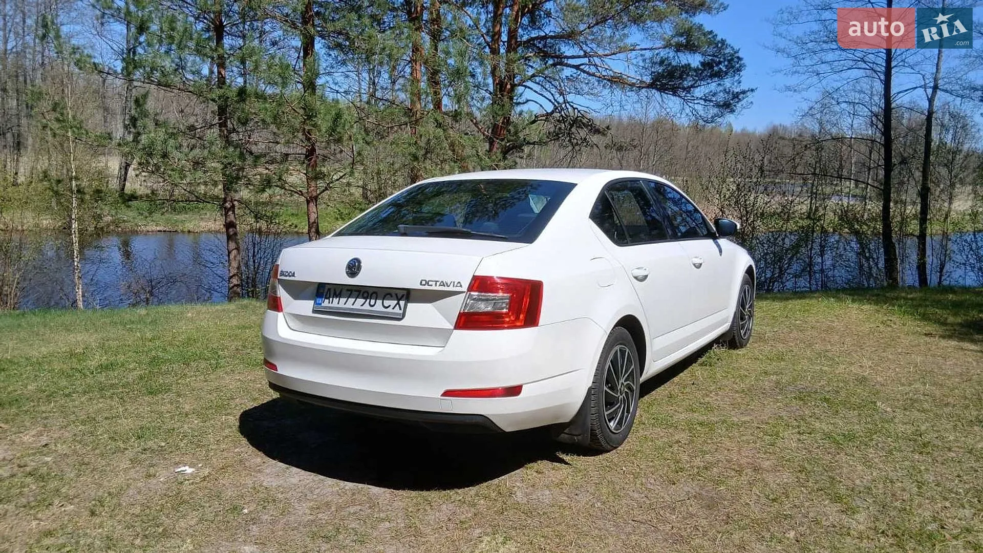 2015 Skoda Octavia - мініатюра 5