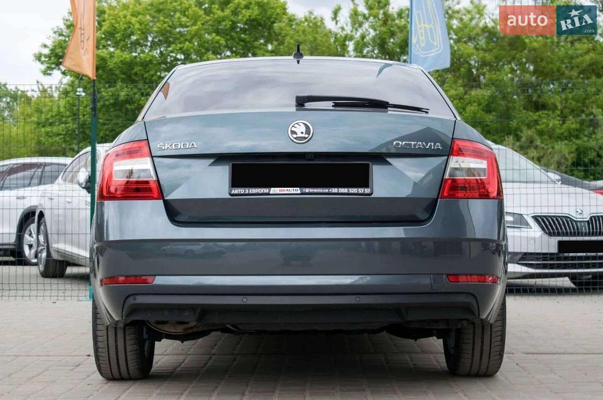 2019 Skoda Octavia - мініатюра 19