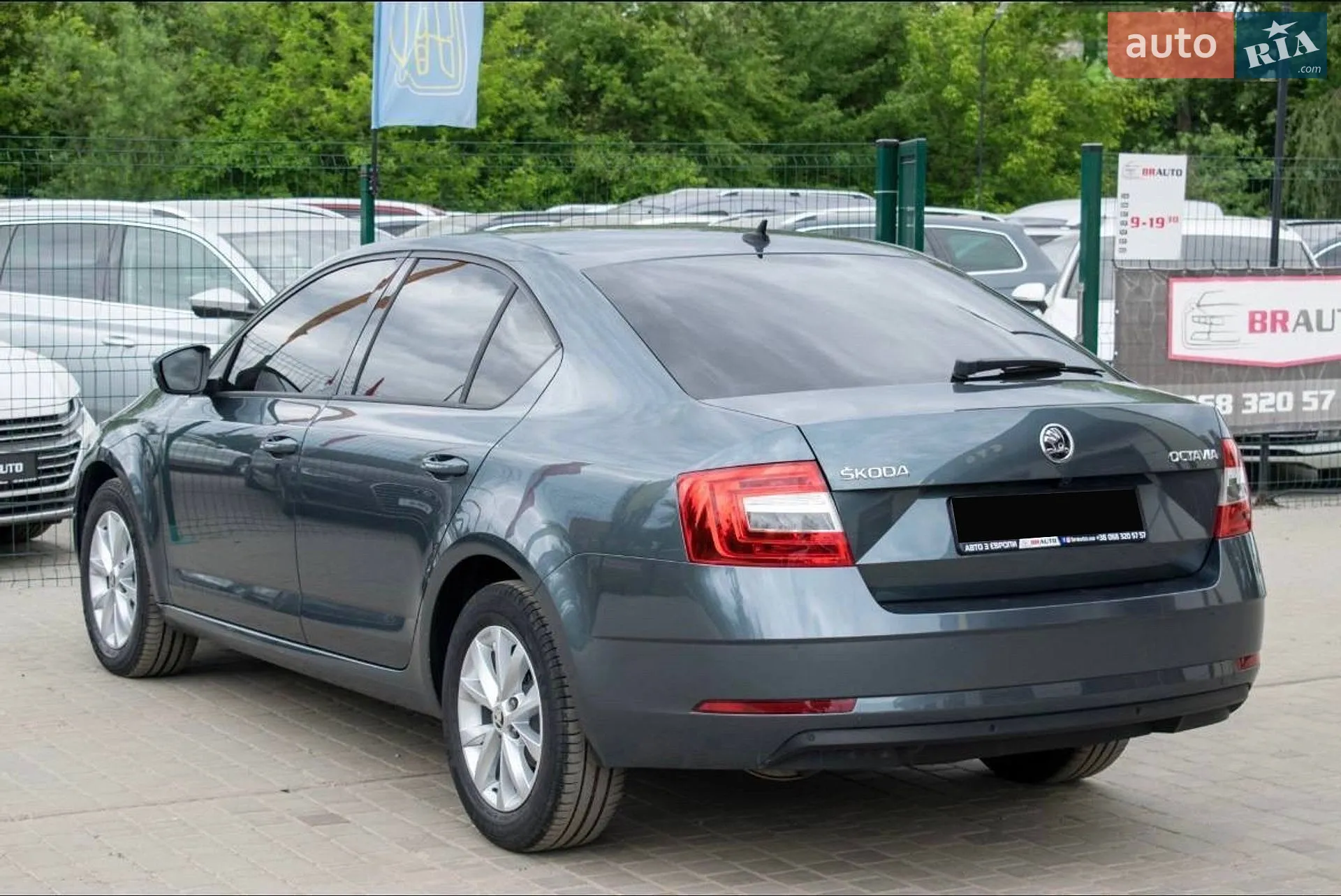 2019 Skoda Octavia - мініатюра 21