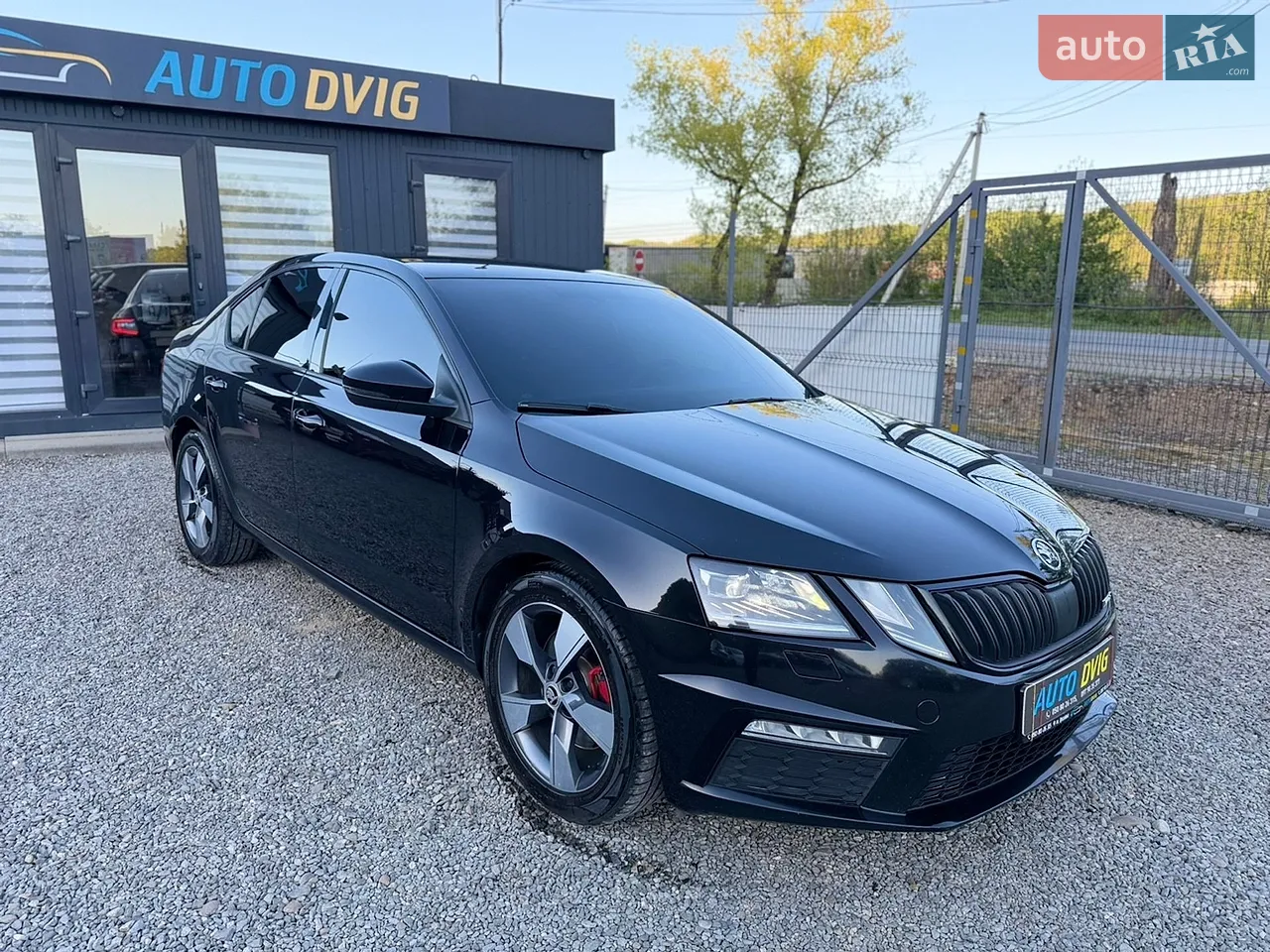 2017 Skoda Octavia - мініатюра 15
