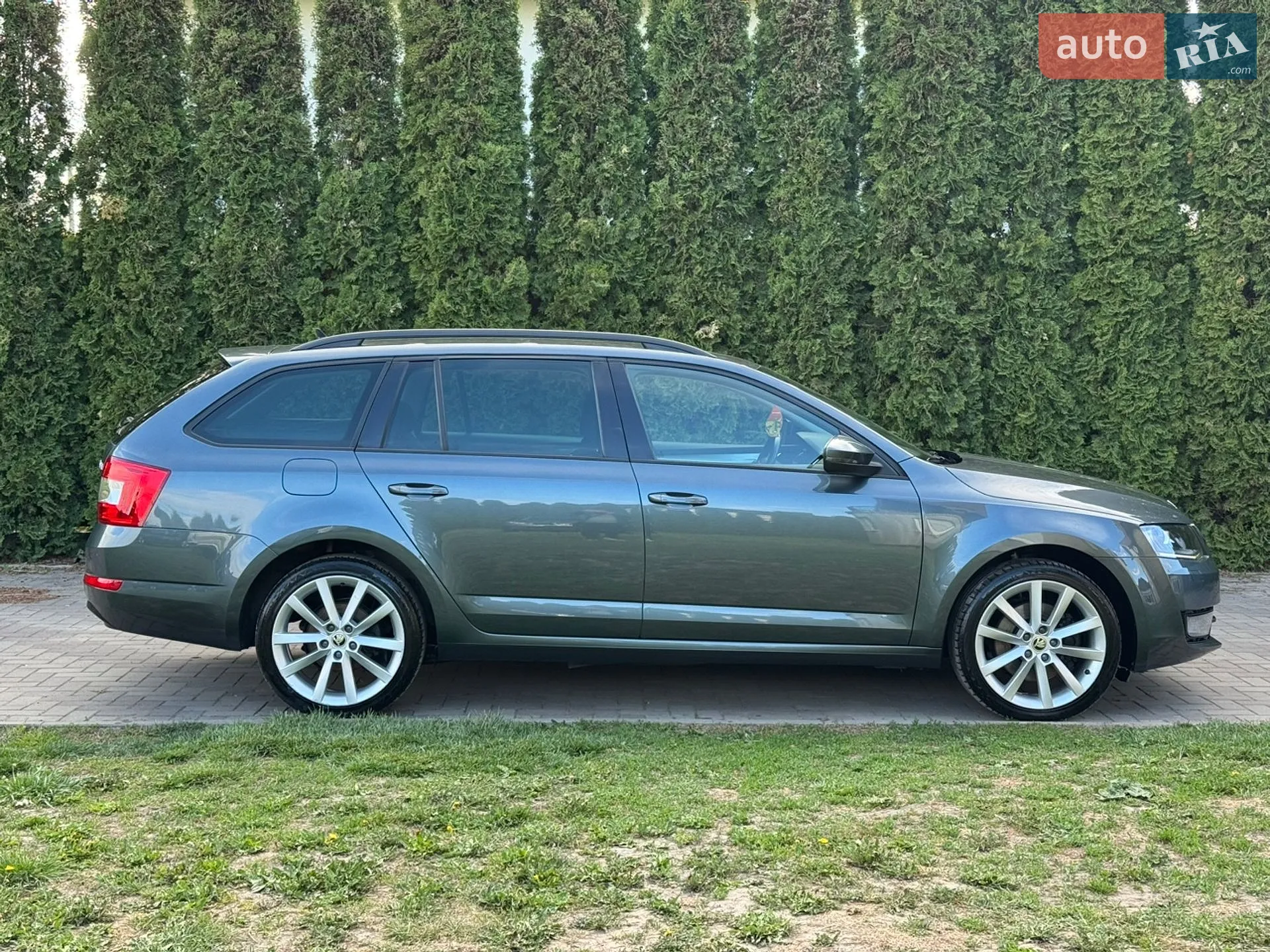 2016 Skoda Octavia - мініатюра 3