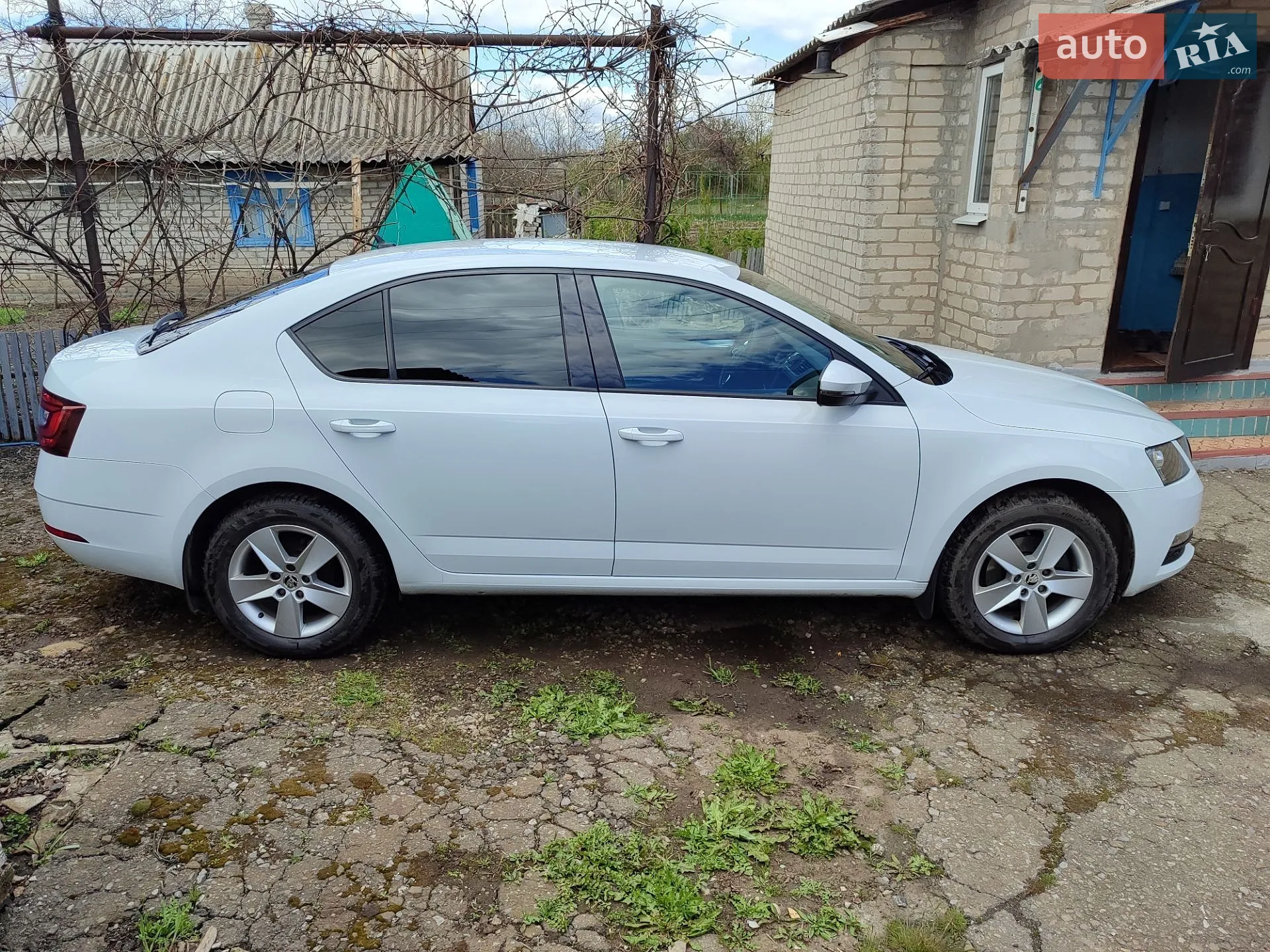 2018 Skoda Octavia - мініатюра 4