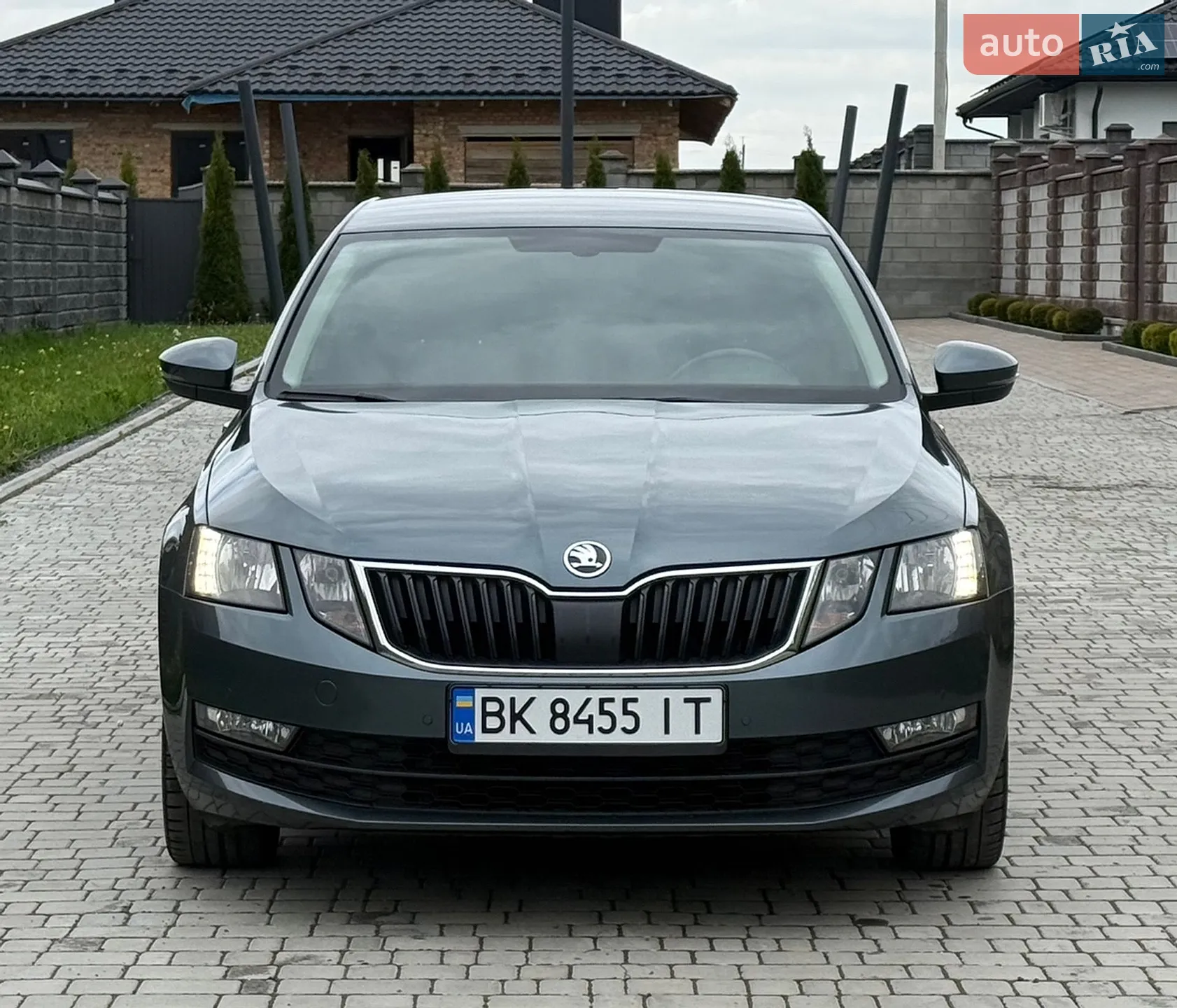 2019 Skoda Octavia - мініатюра 4