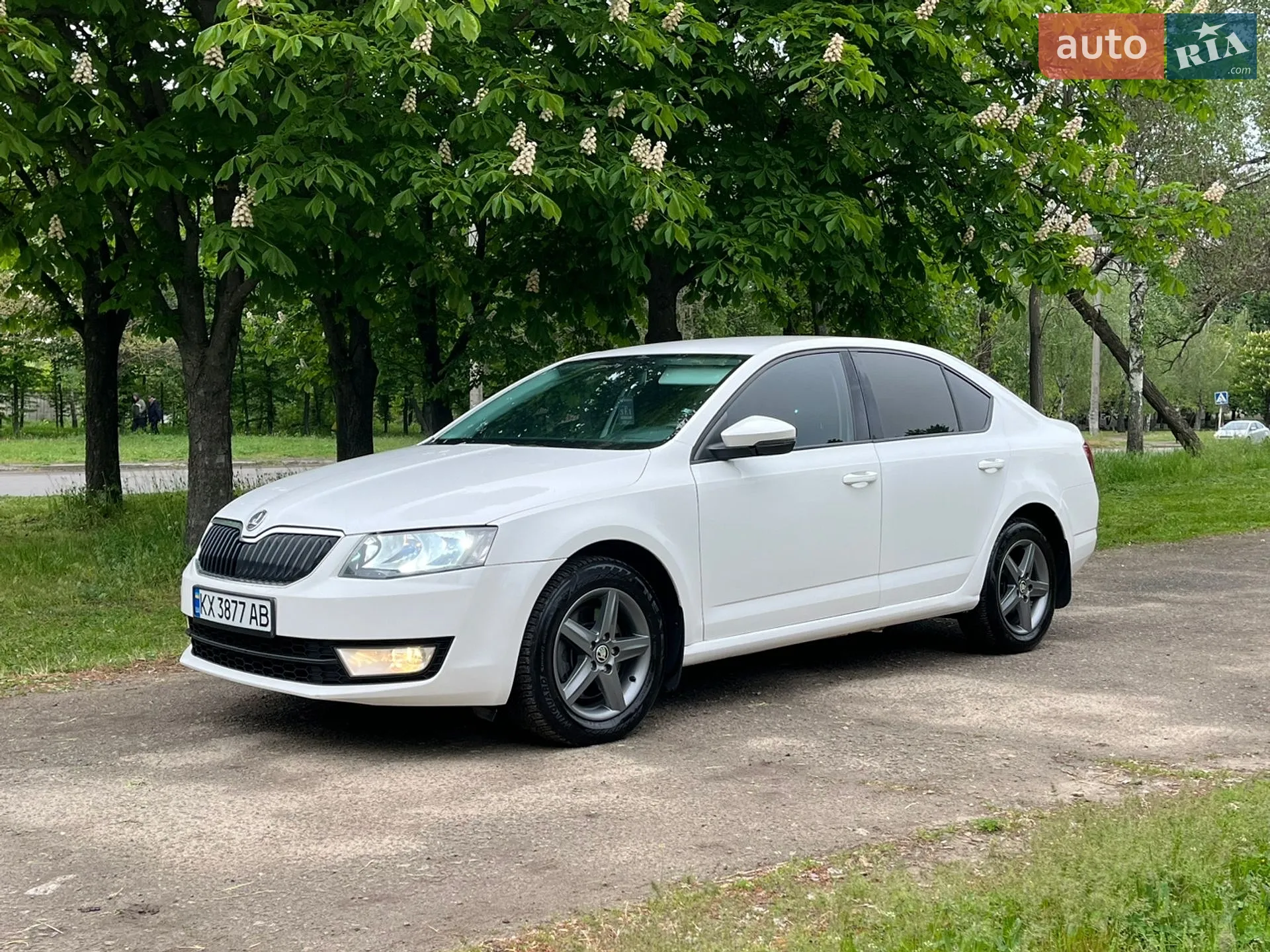 2013 Skoda Octavia - мініатюра 2