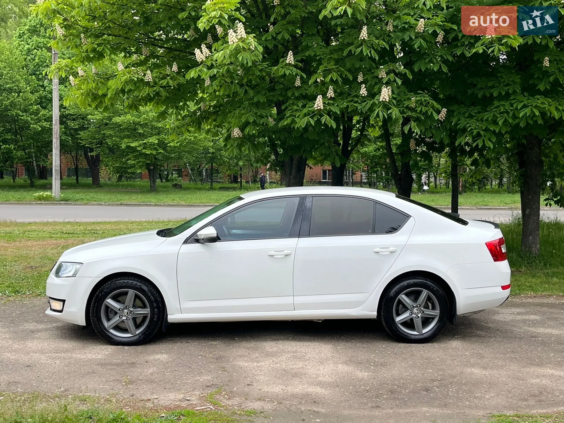2013 Skoda Octavia - мініатюра 6