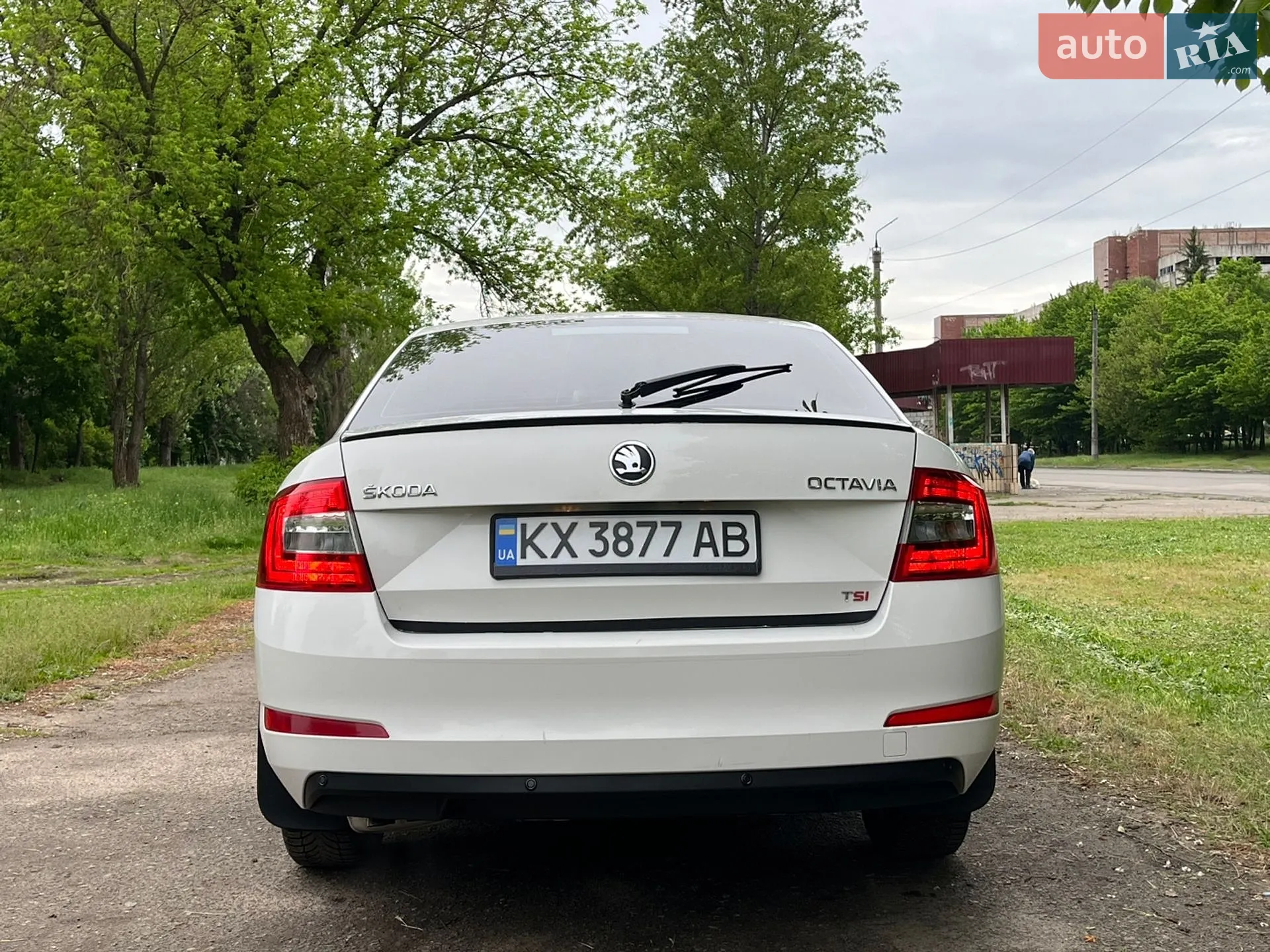 2013 Skoda Octavia - мініатюра 12