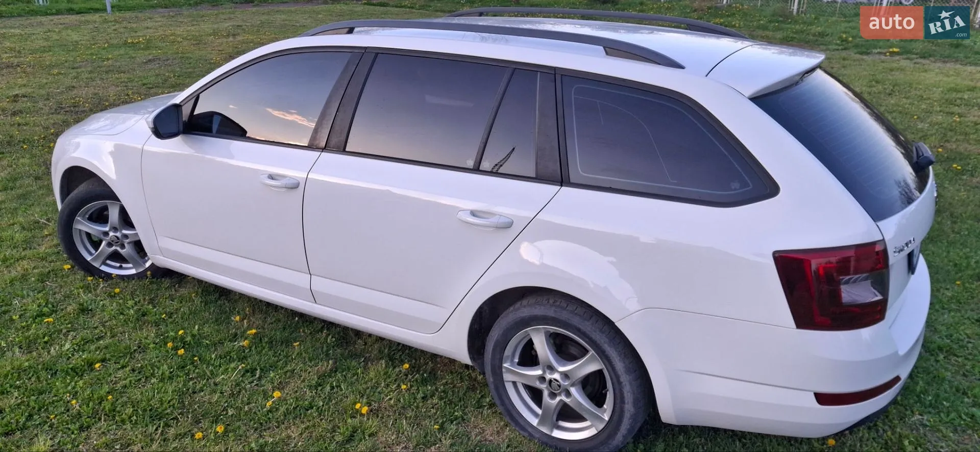 2014 Skoda Octavia - мініатюра 23