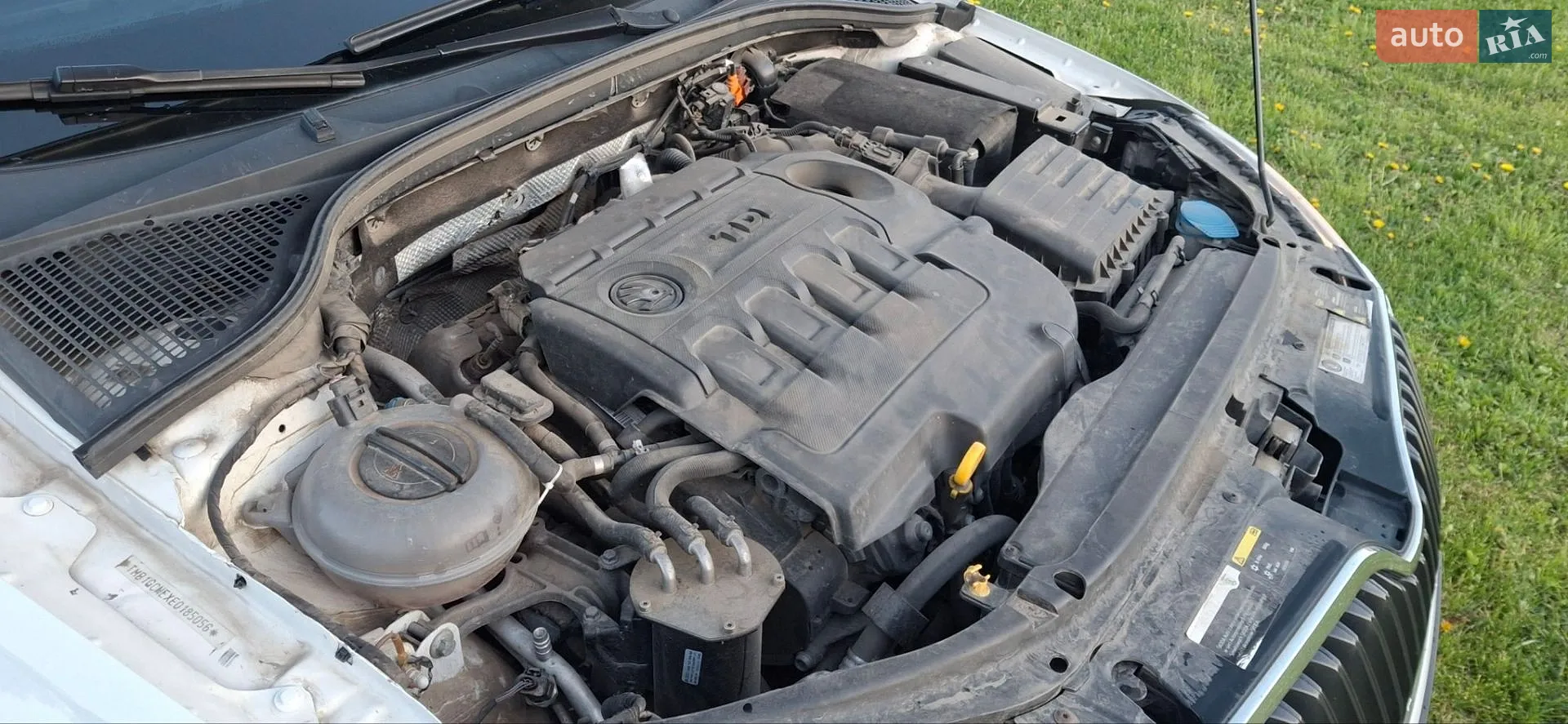 2014 Skoda Octavia - мініатюра 60