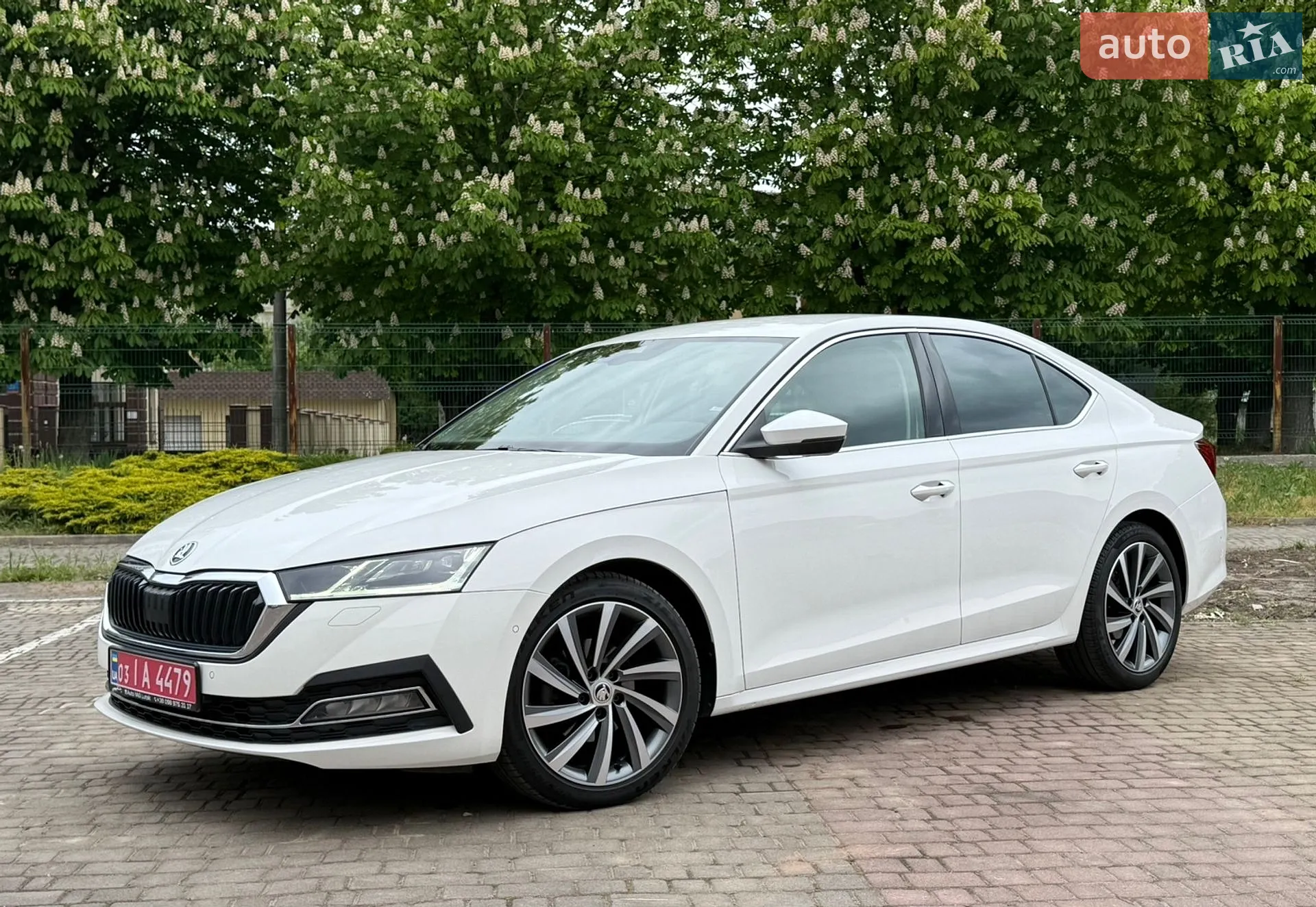 2020 Skoda Octavia - мініатюра 3