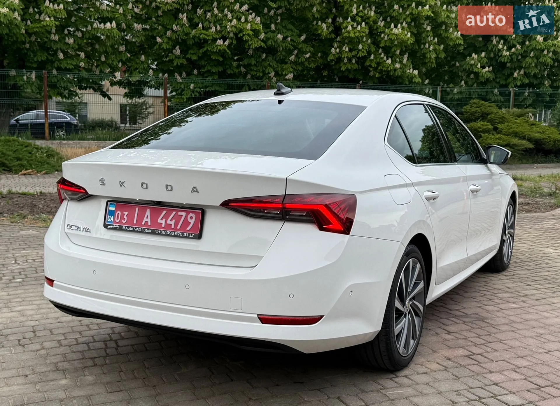 2020 Skoda Octavia - мініатюра 12