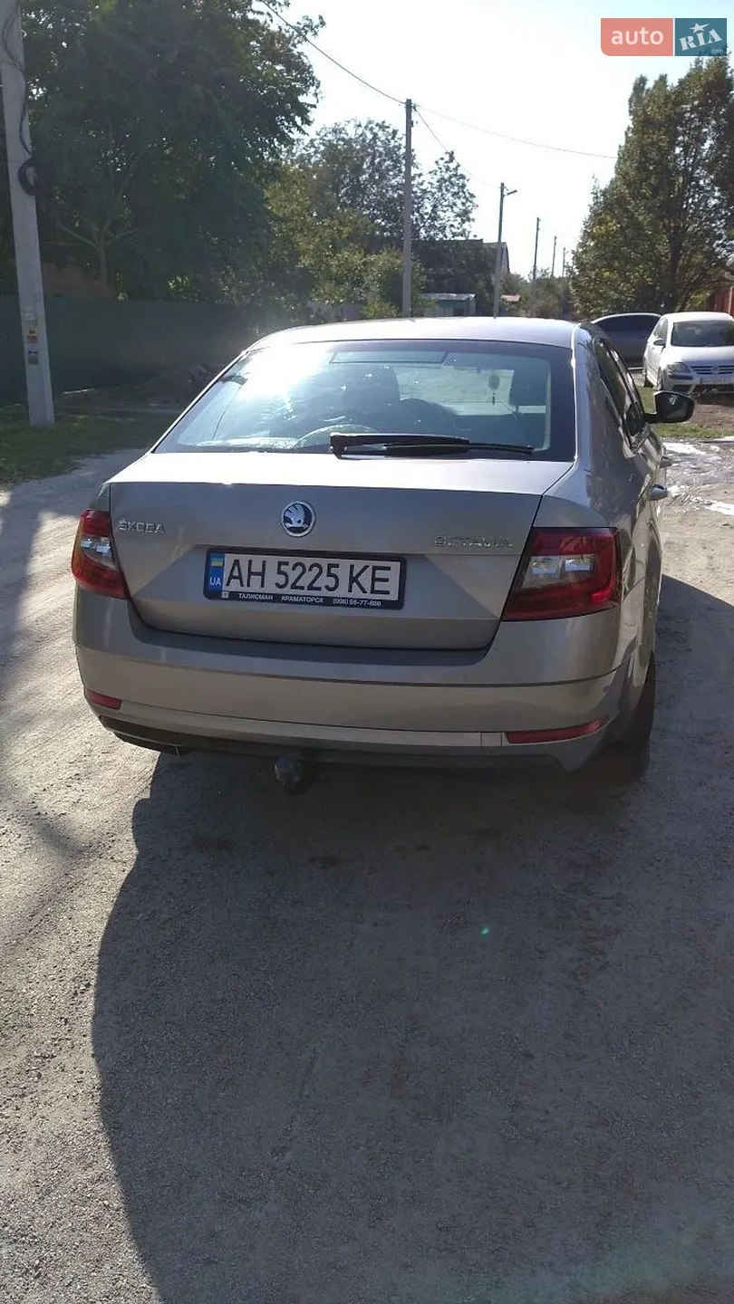 2018 Skoda Octavia - мініатюра 4
