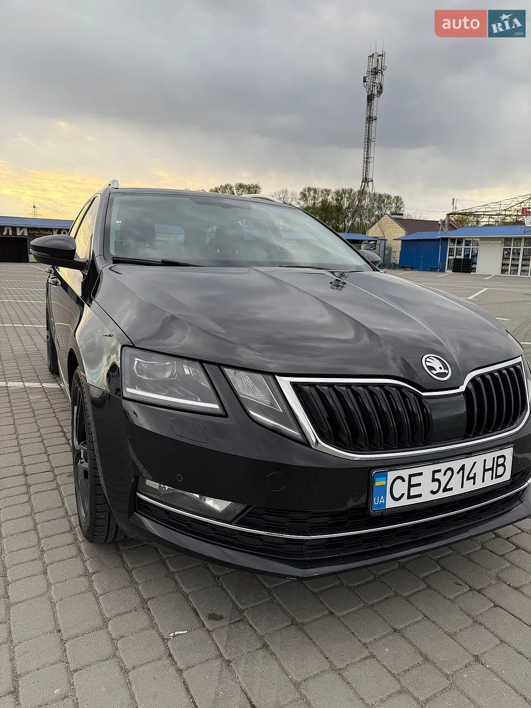 2019 Skoda Octavia - мініатюра 11
