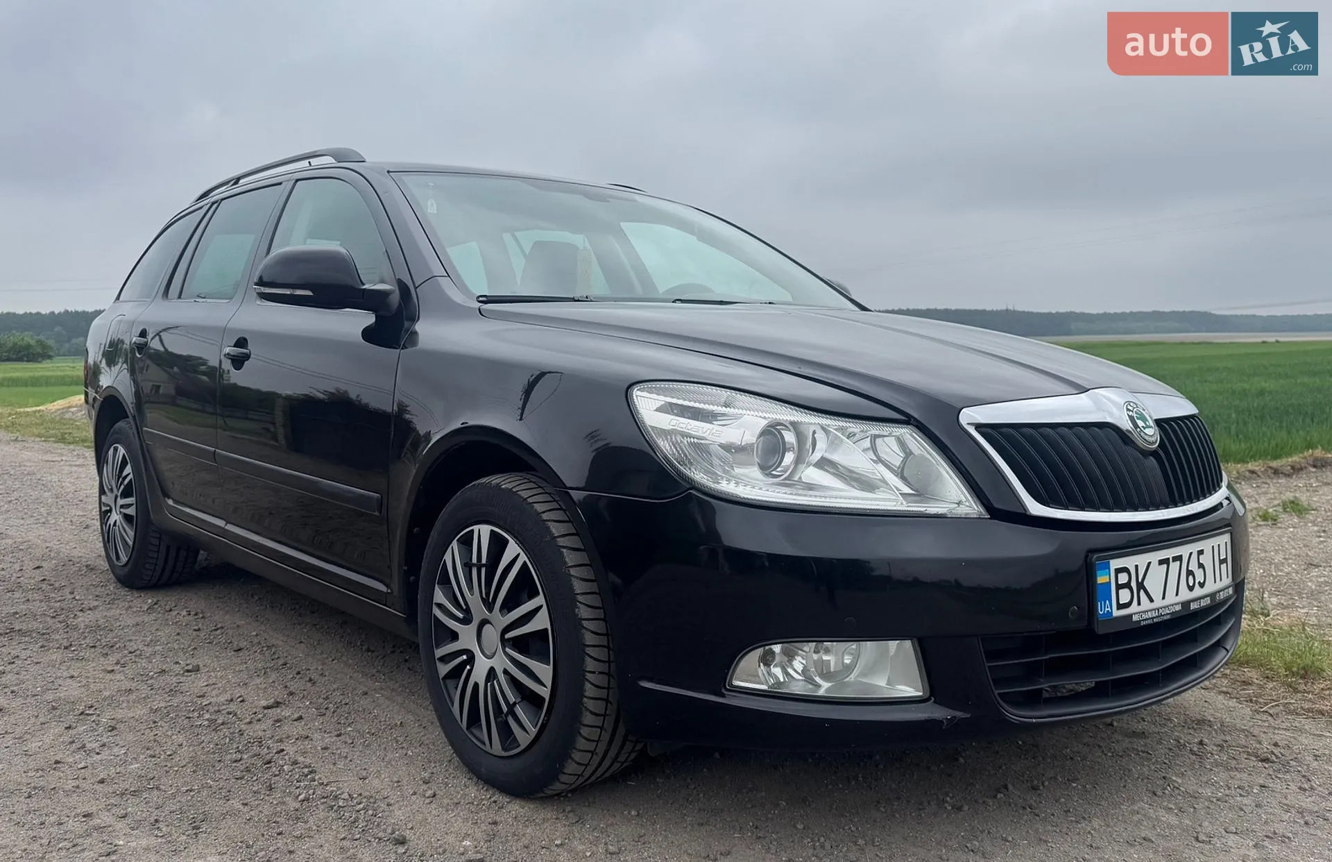 2013 Skoda Octavia - фото 1