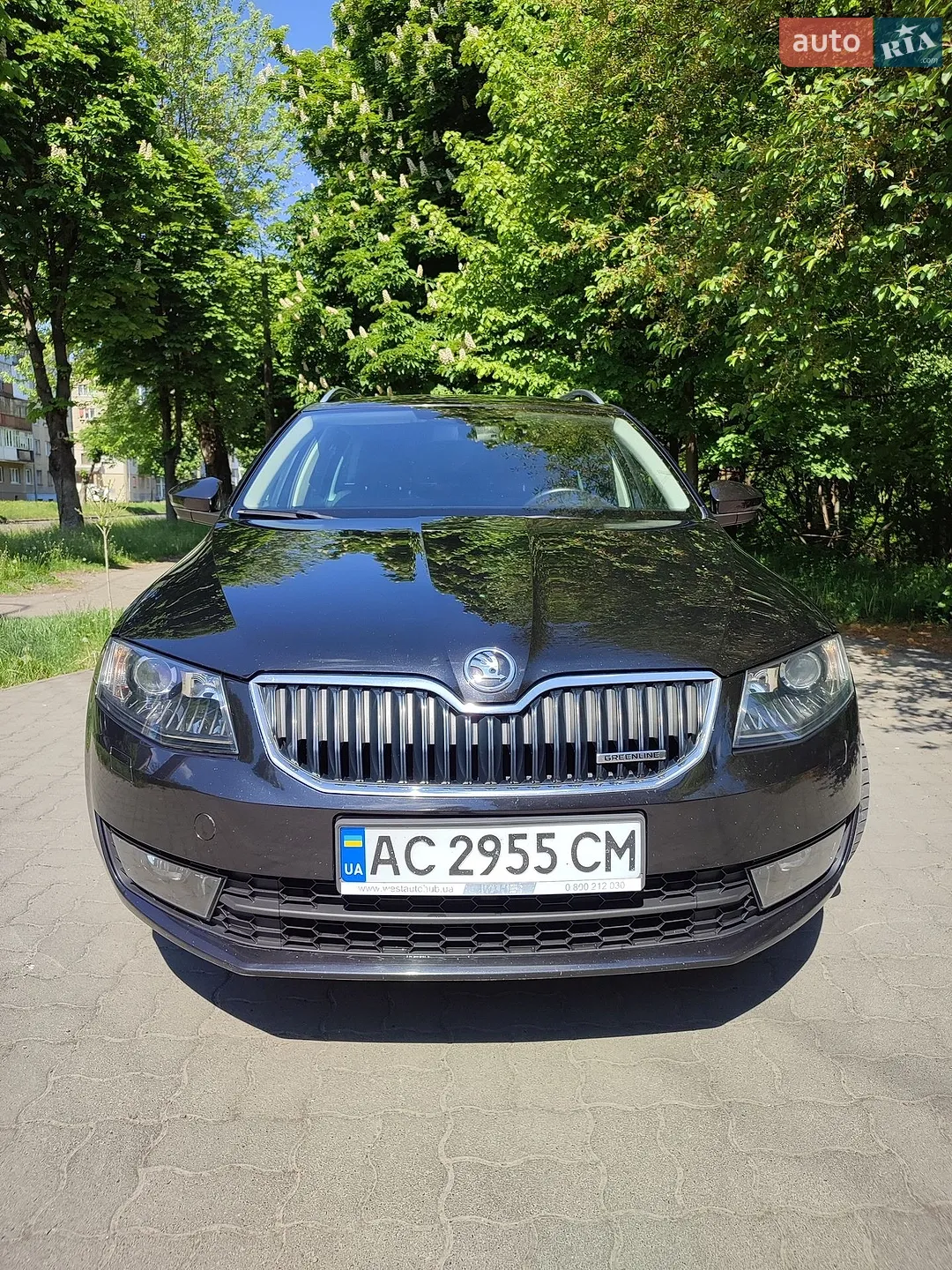 2014 Skoda Octavia - фото 1