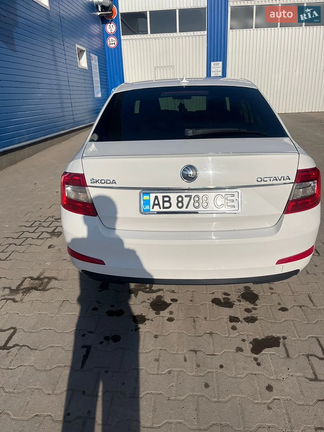 2014 Skoda Octavia - мініатюра 15