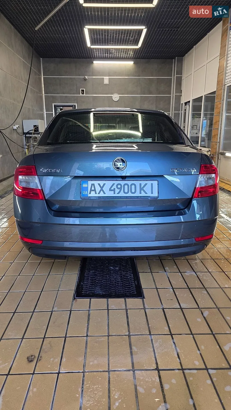 2019 Skoda Octavia - мініатюра 5