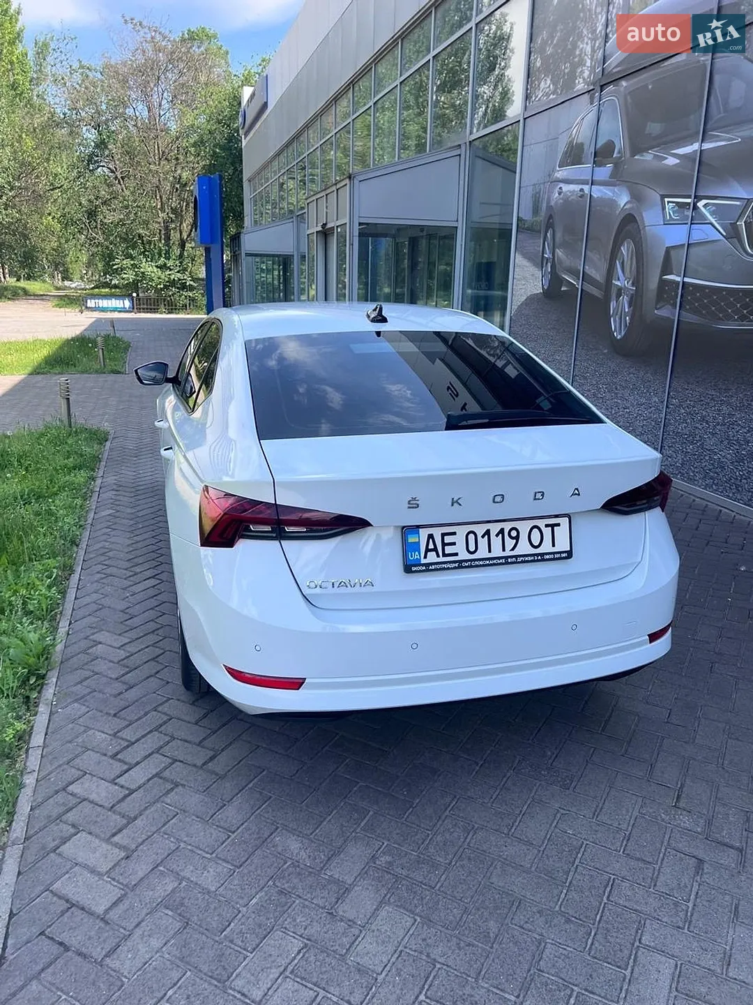 2021 Skoda Octavia - мініатюра 15