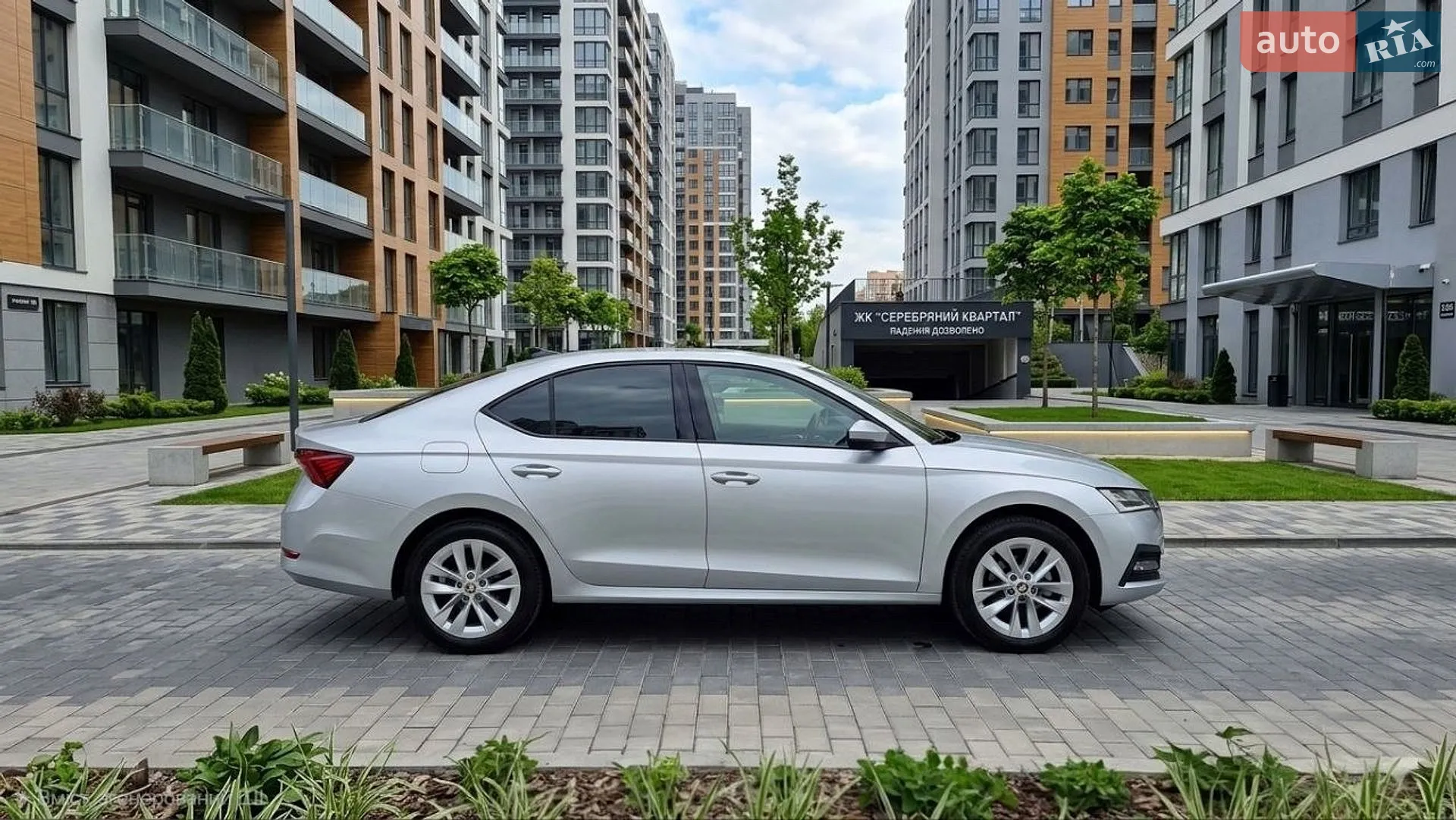2020 Skoda Octavia - мініатюра 3