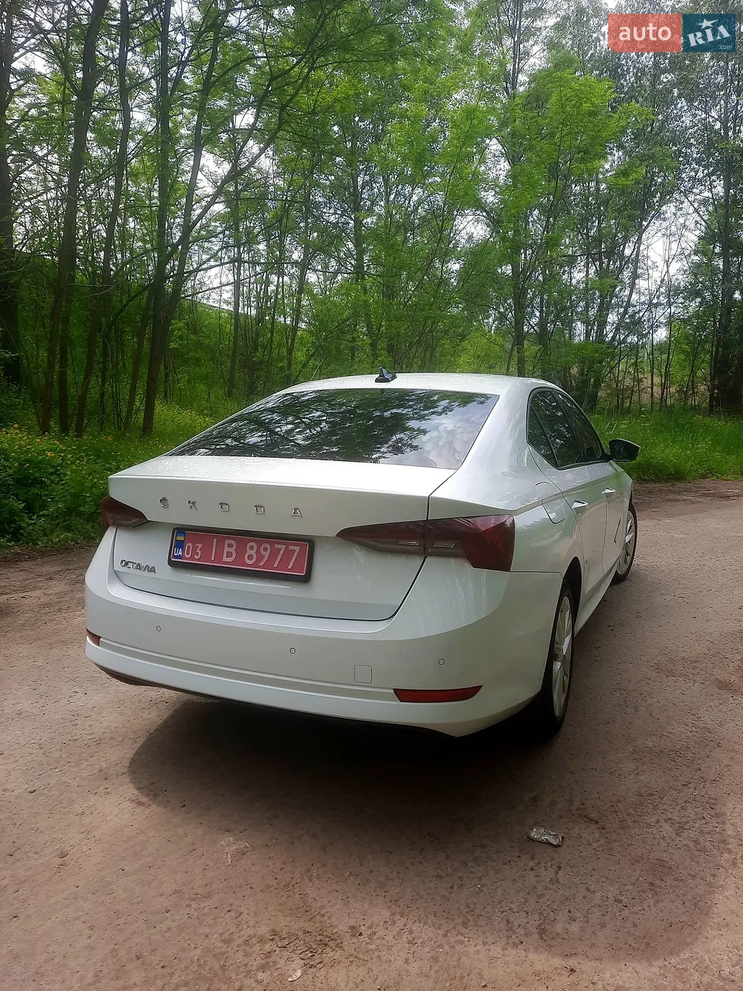 2020 Skoda Octavia - мініатюра 8