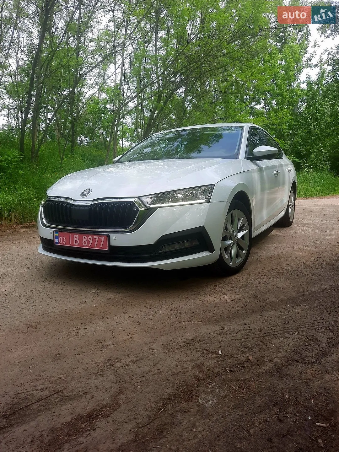 2020 Skoda Octavia - мініатюра 12
