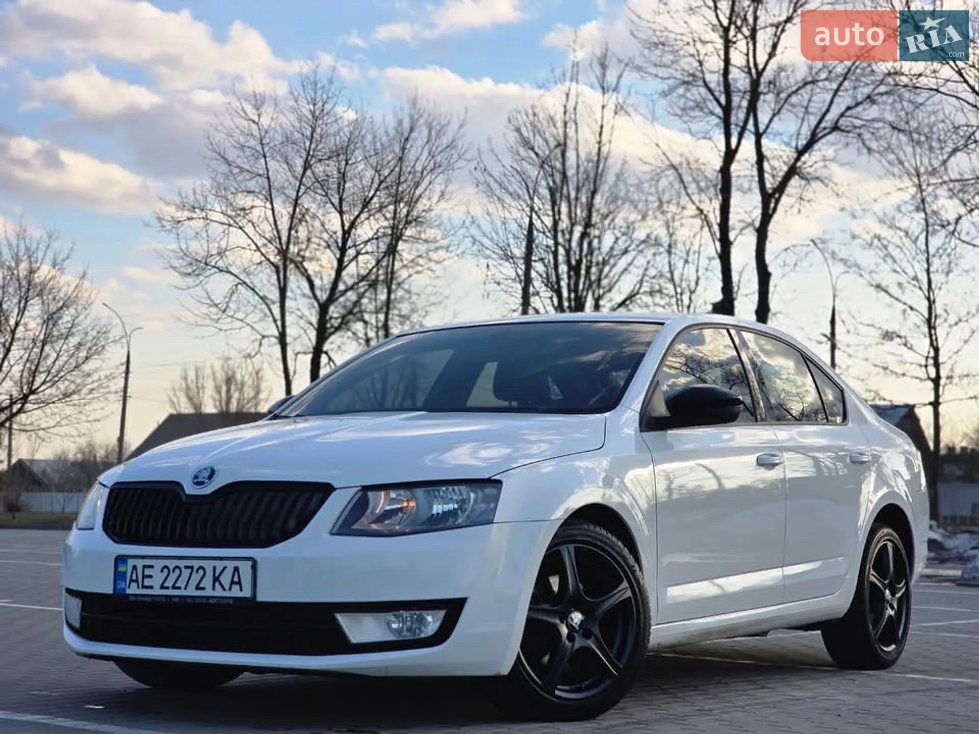2013 Skoda Octavia - мініатюра 3