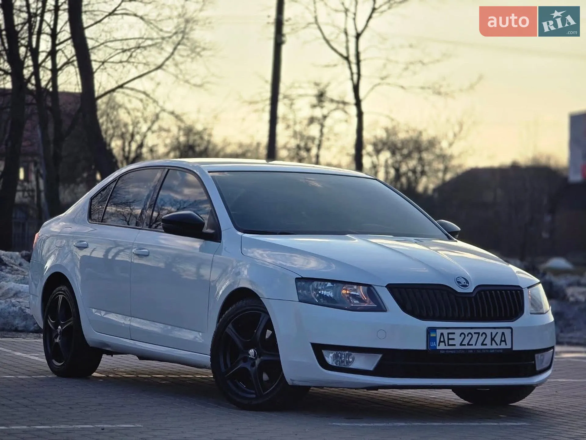 2013 Skoda Octavia - мініатюра 4