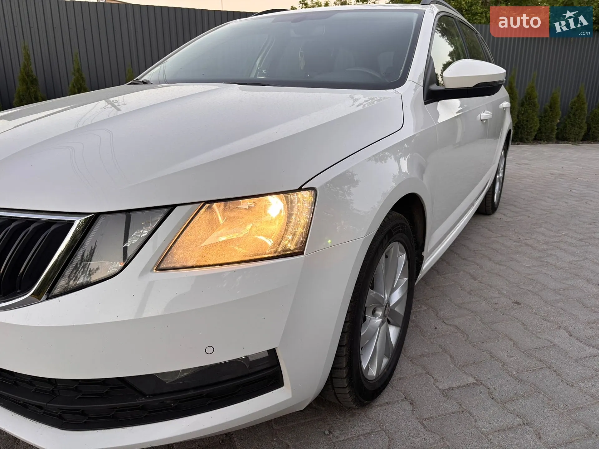 2019 Skoda Octavia - мініатюра 11