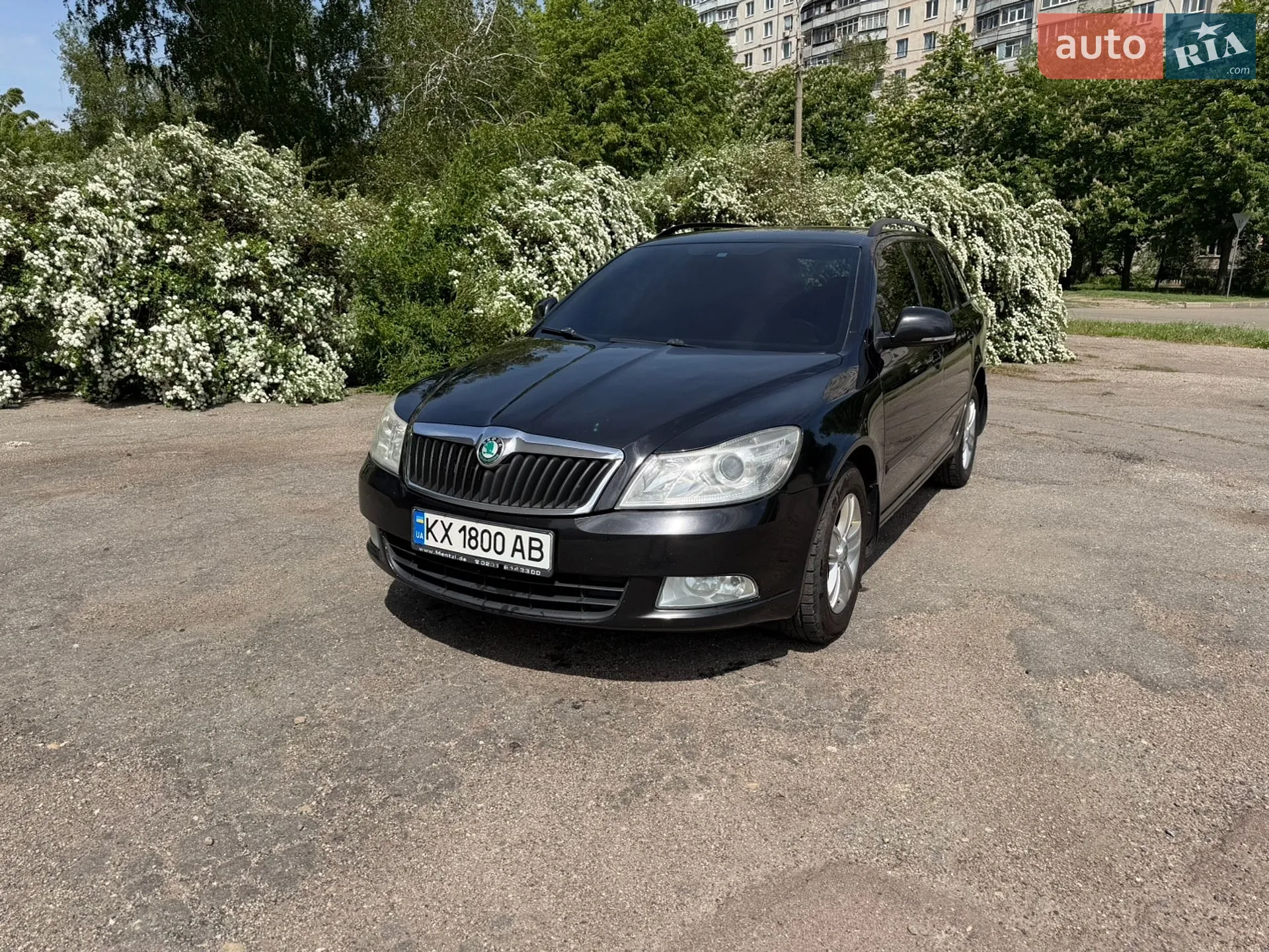 2011 Skoda Octavia - мініатюра 6