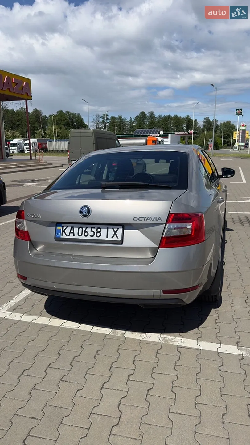 2017 Skoda Octavia - мініатюра 3