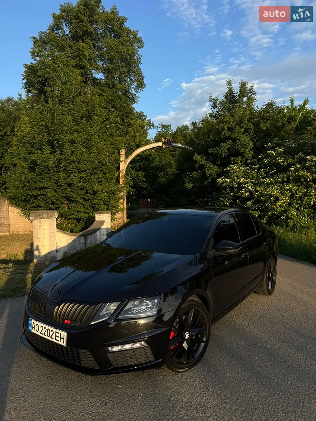 2019 Skoda Octavia - мініатюра 6