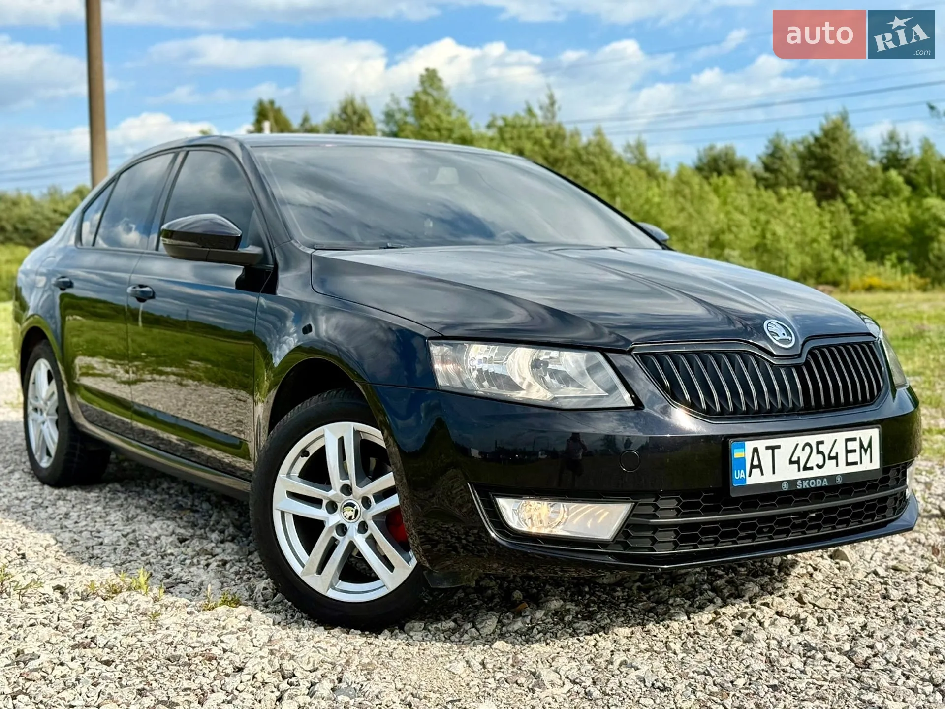 2014 Skoda Octavia - мініатюра 2