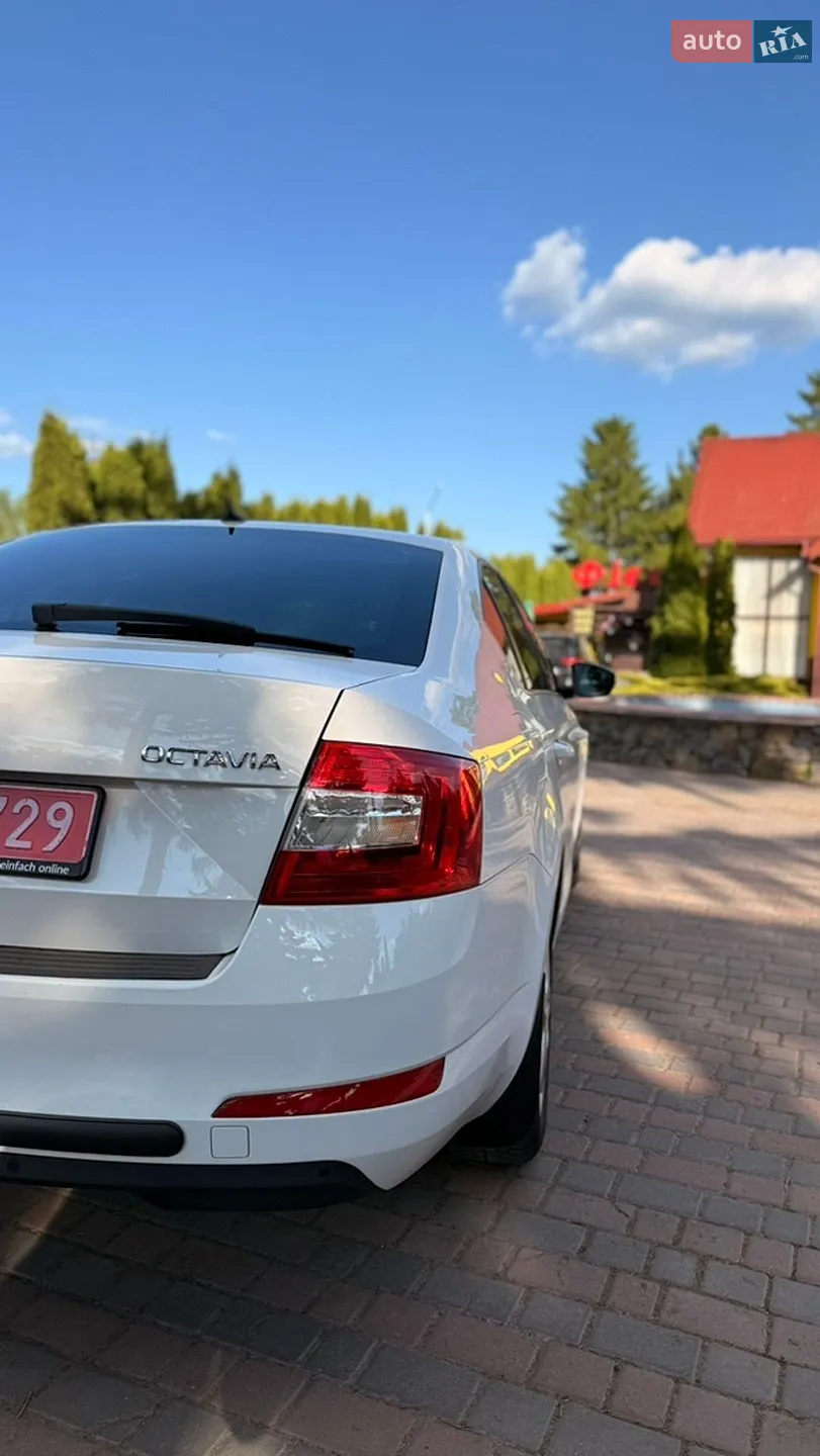 2017 Skoda Octavia - мініатюра 6