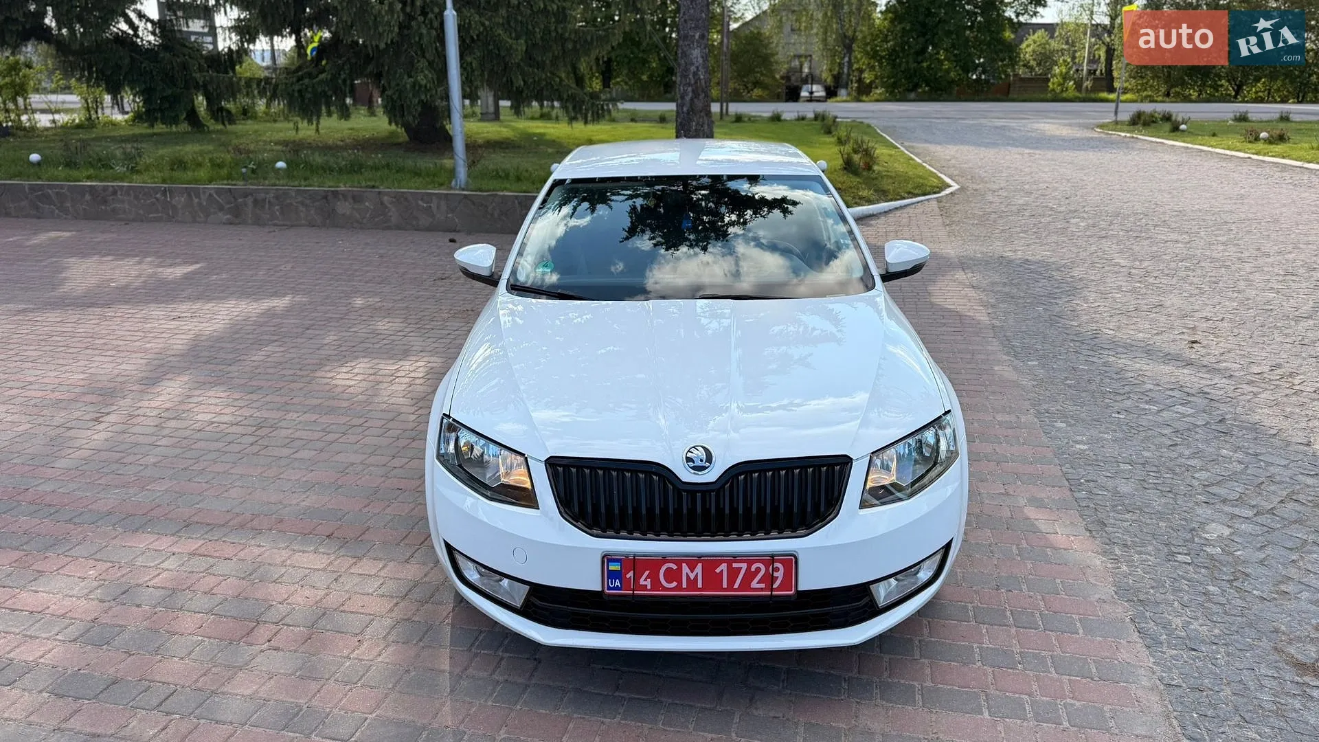 2017 Skoda Octavia - мініатюра 9
