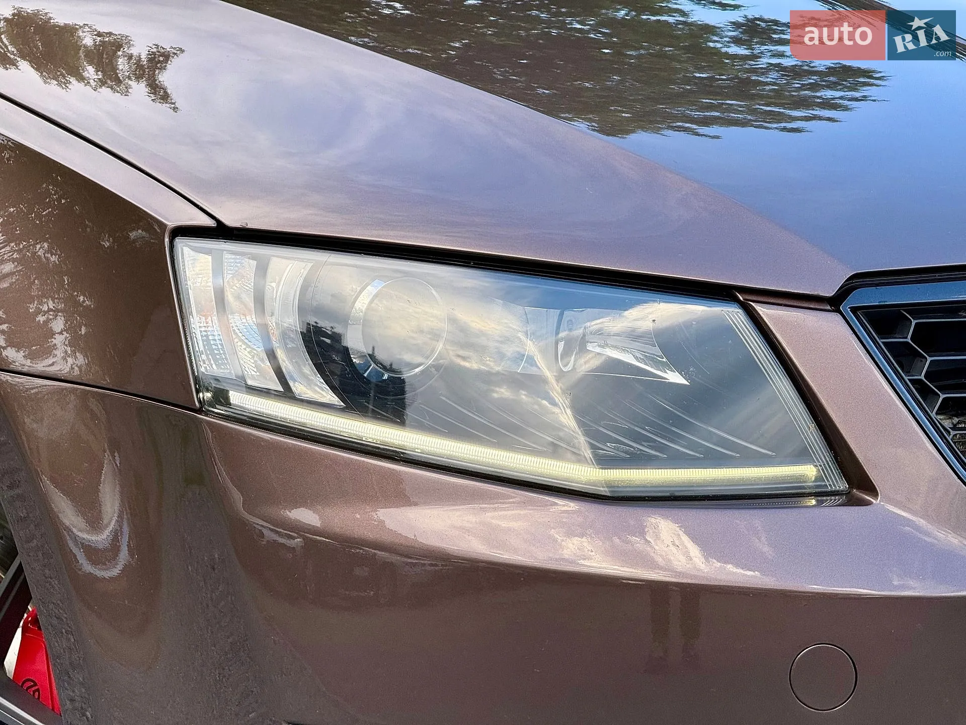 2013 Skoda Octavia - мініатюра 5