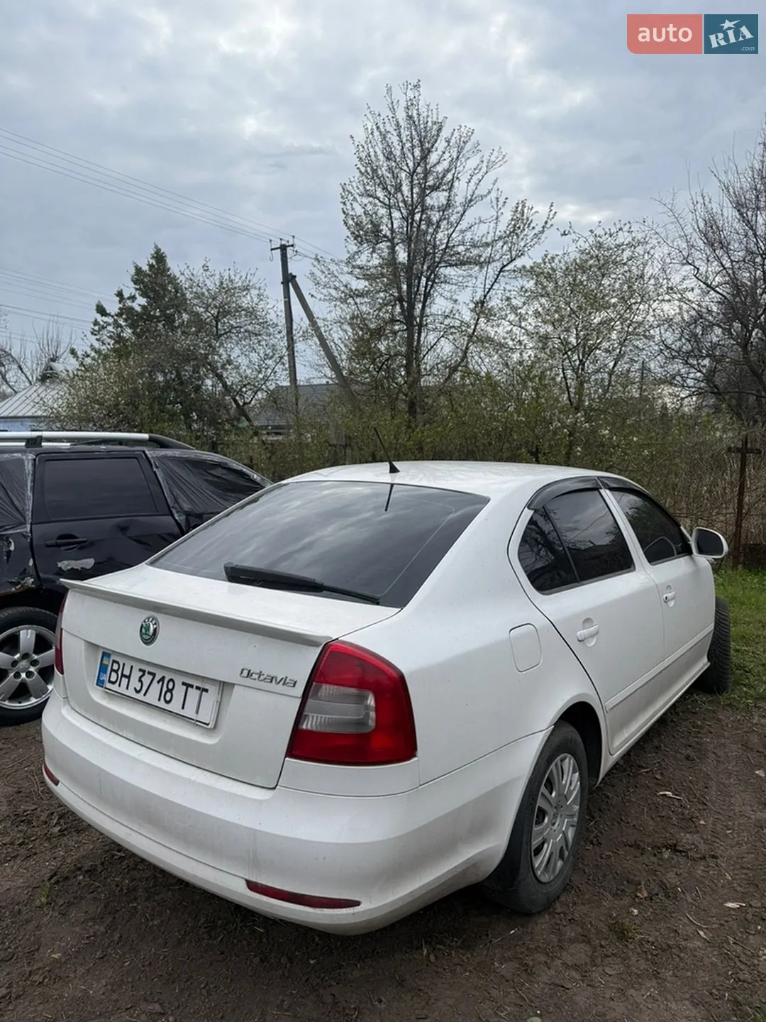2012 Skoda Octavia - мініатюра 3