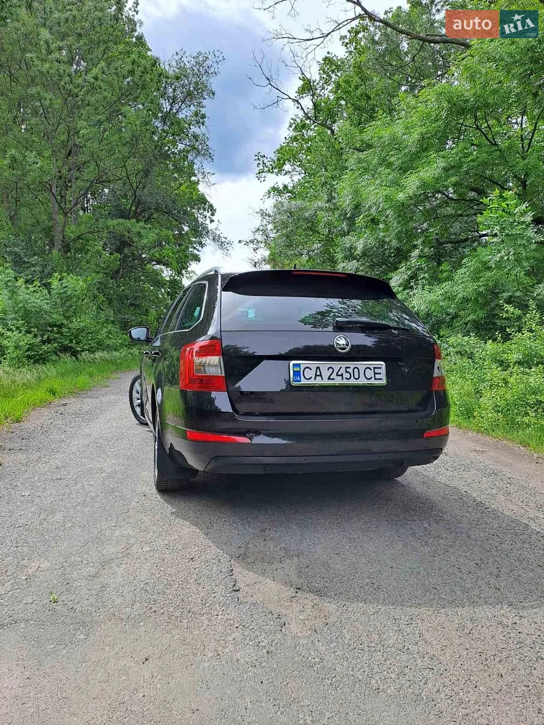 2014 Skoda Octavia - мініатюра 6