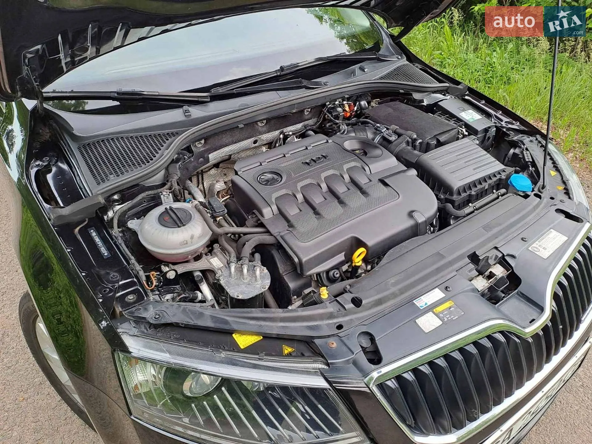2014 Skoda Octavia - мініатюра 21