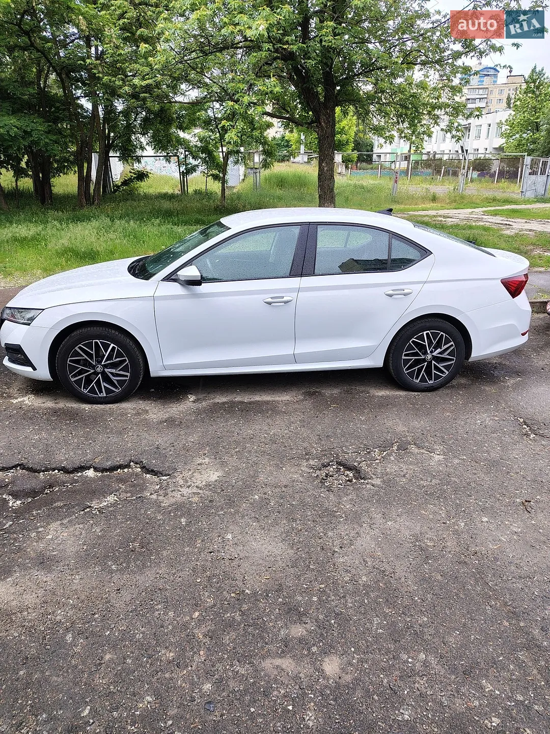 2020 Skoda Octavia - мініатюра 2
