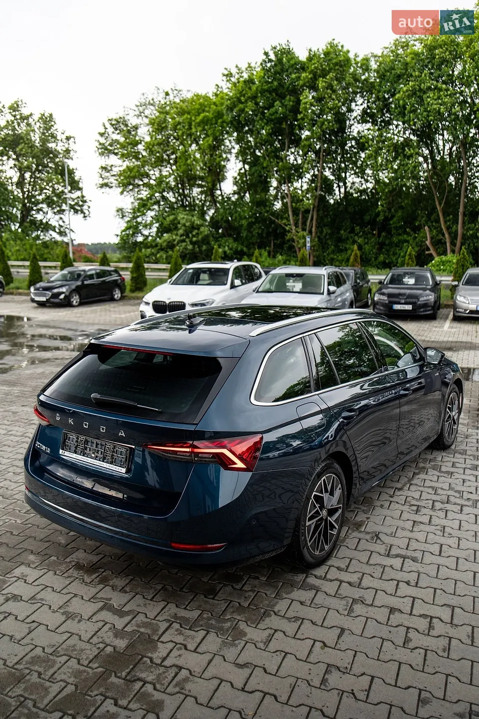 2020 Skoda Octavia - мініатюра 52