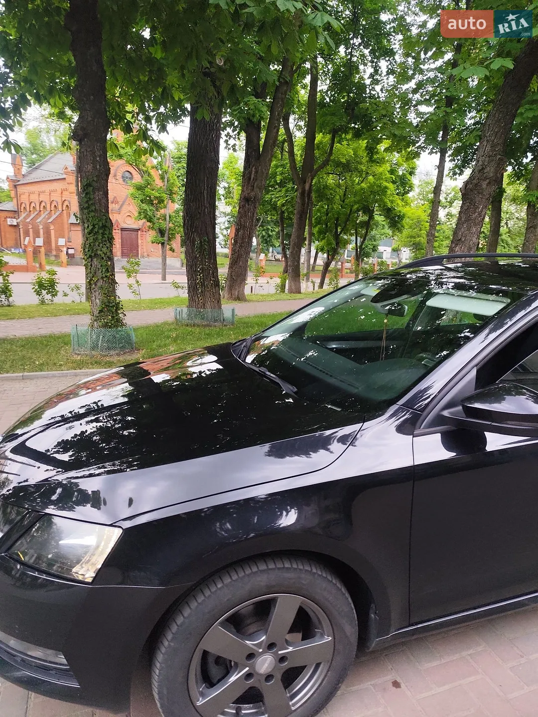 2019 Skoda Octavia - мініатюра 8
