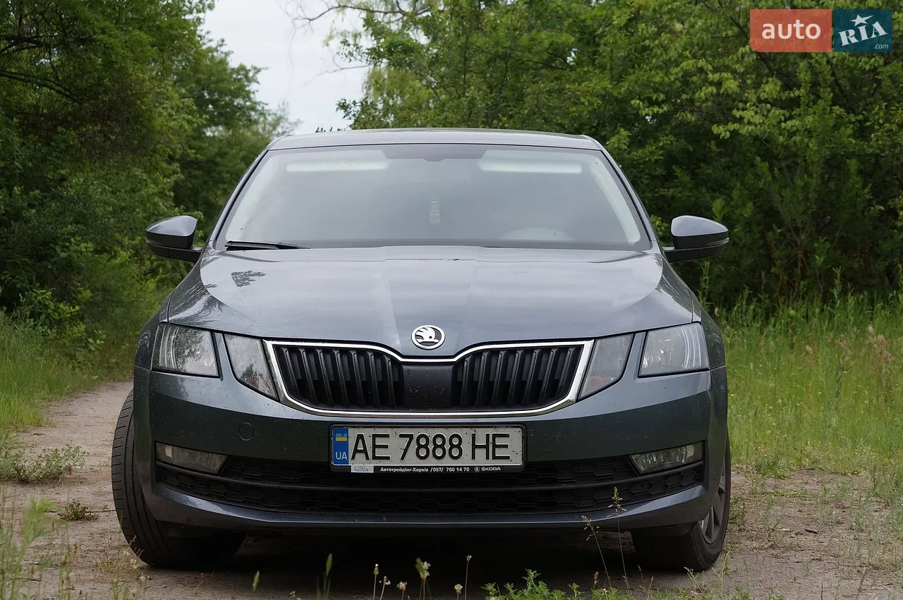 2019 Skoda Octavia - мініатюра 8