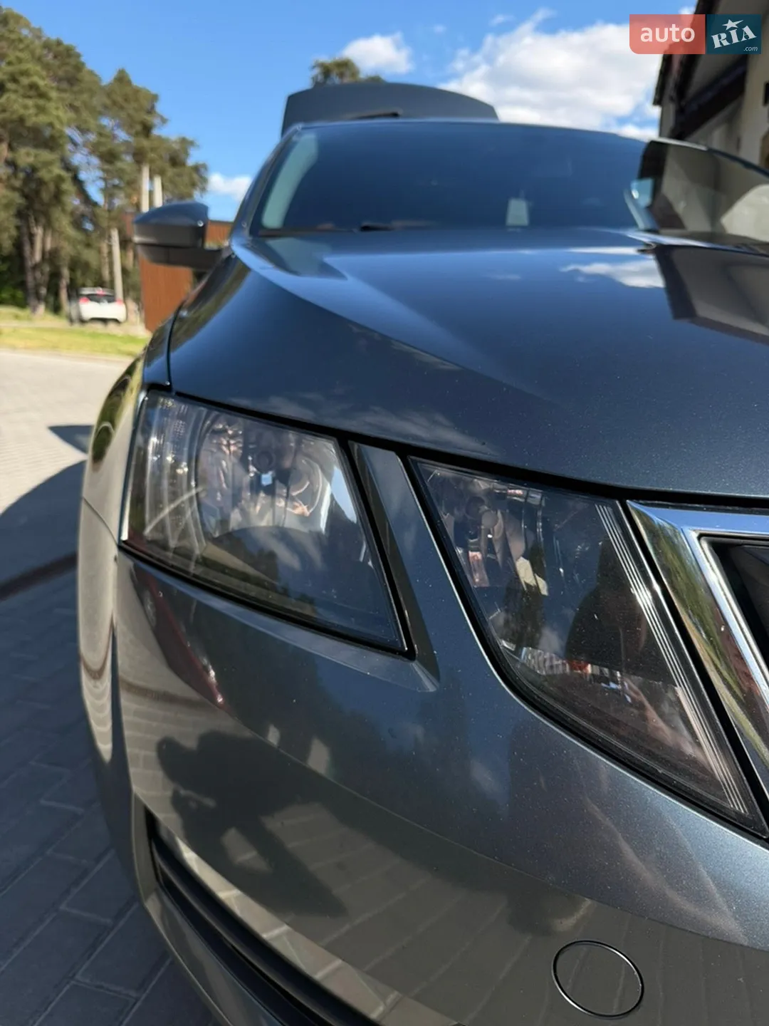 2019 Skoda Octavia - мініатюра 25